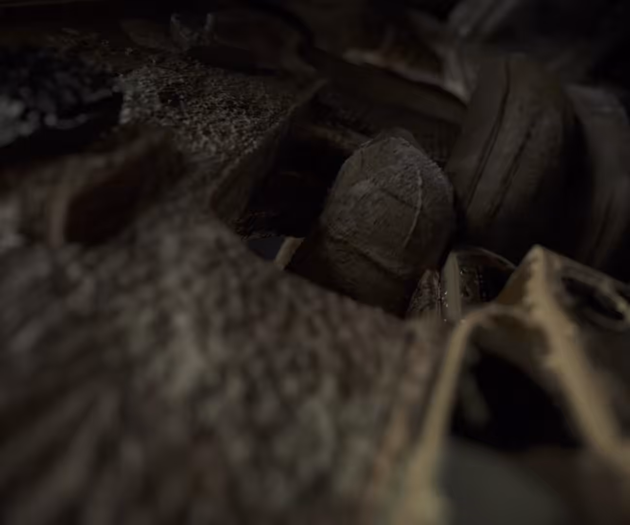 Echo