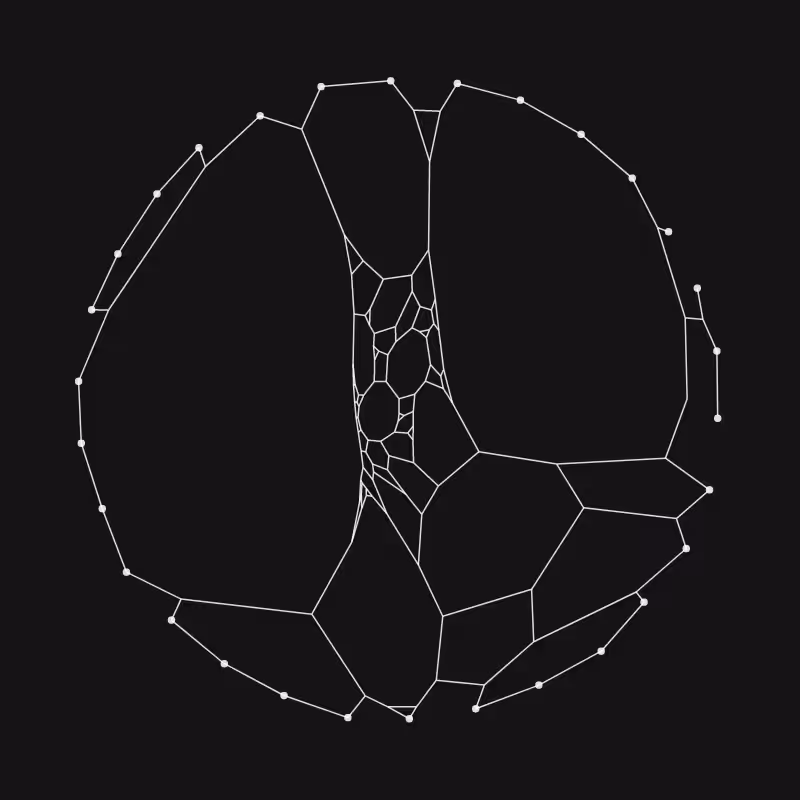 Elastic Web #247