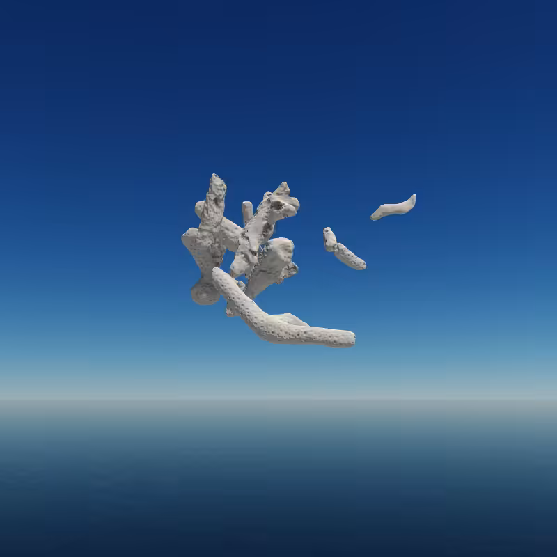 Bone Work (Gulf of Mexico) 2022 #51