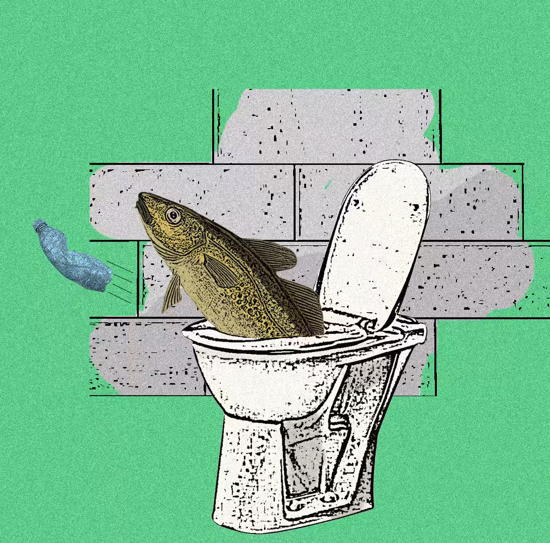 Recycle