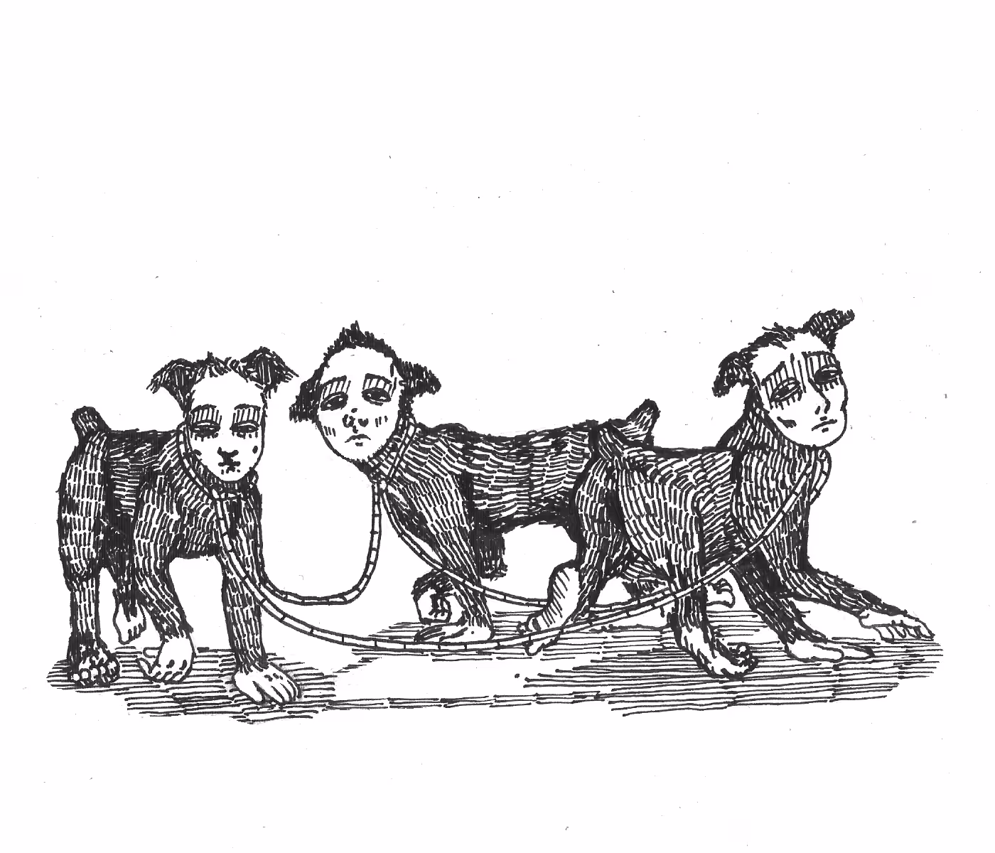 Circus of Emotions