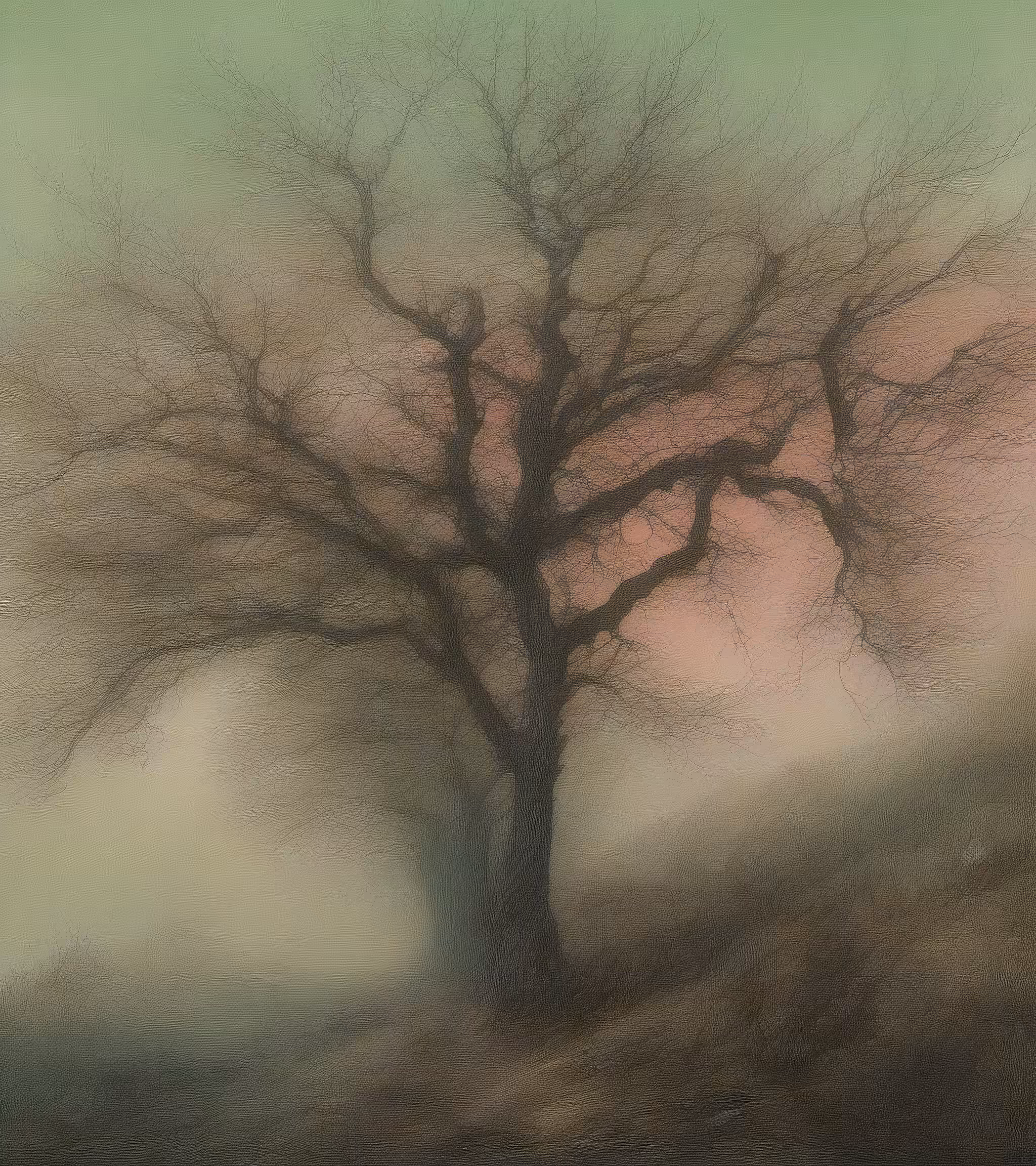 Tree Studies #25