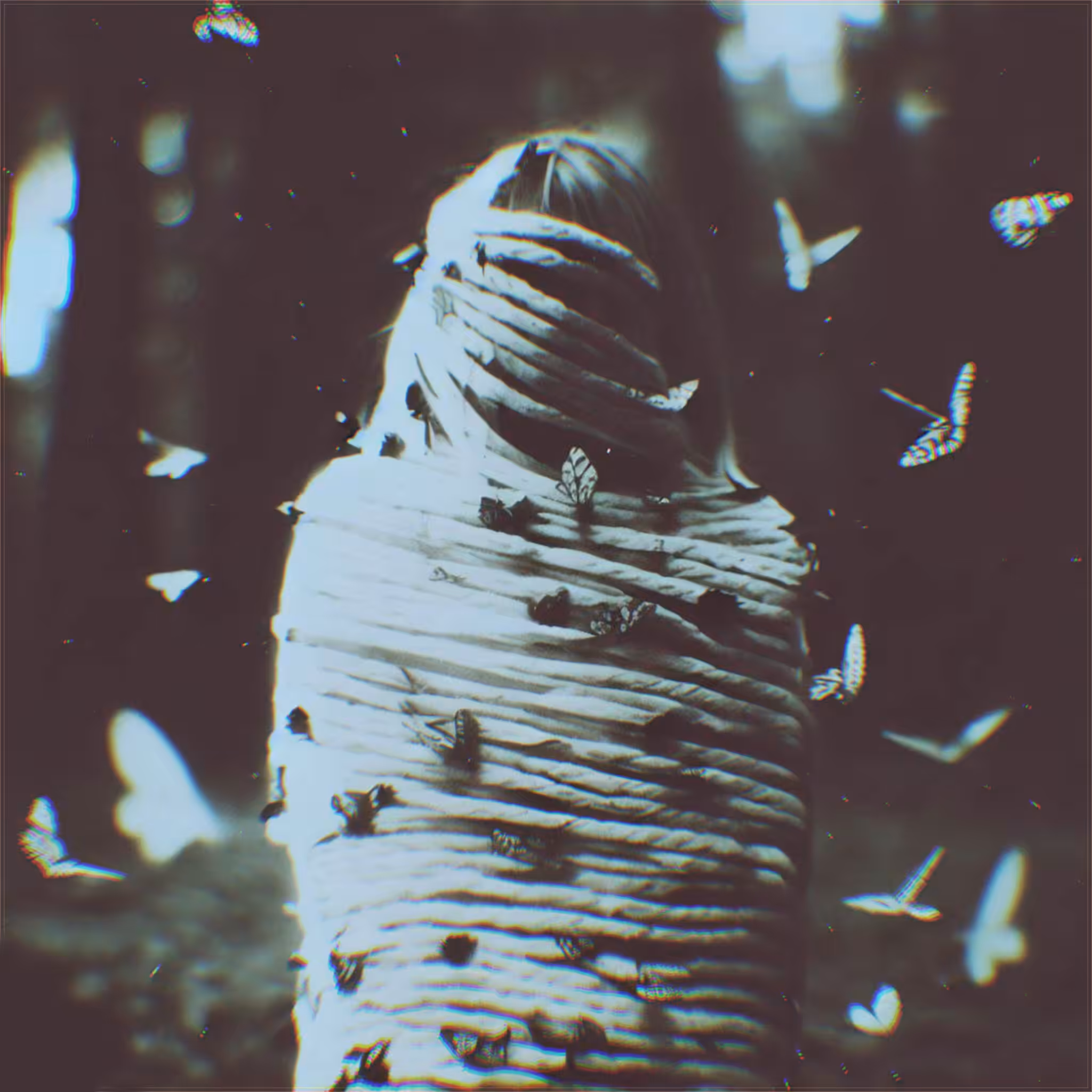 purgatorium | XIII