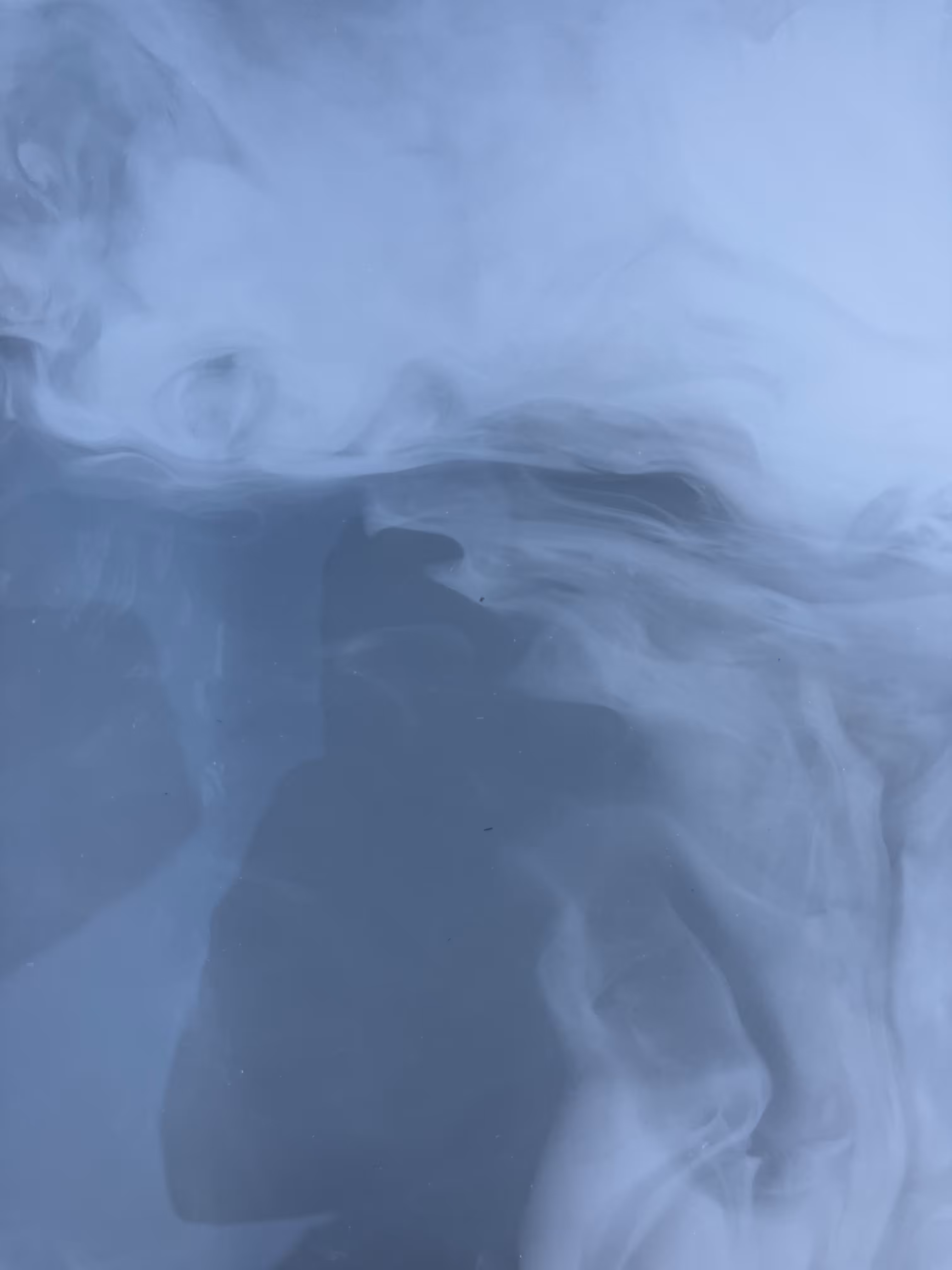 Wanderer Above the Sea of Fog