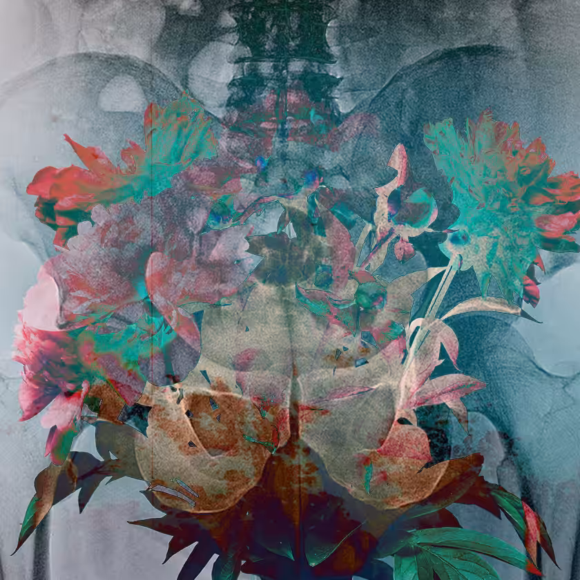 flowers and death #28