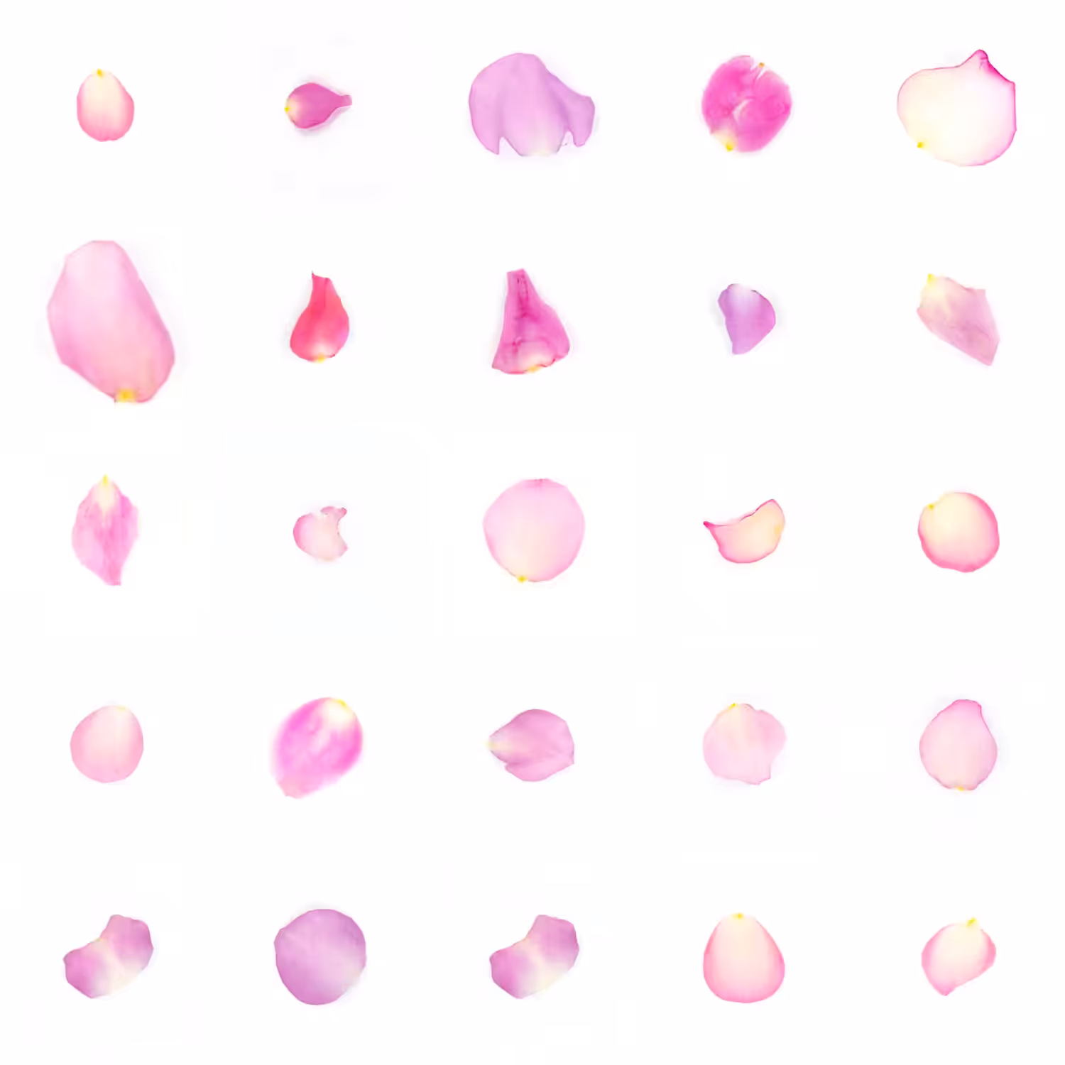 Infinite Petals 5x5#165