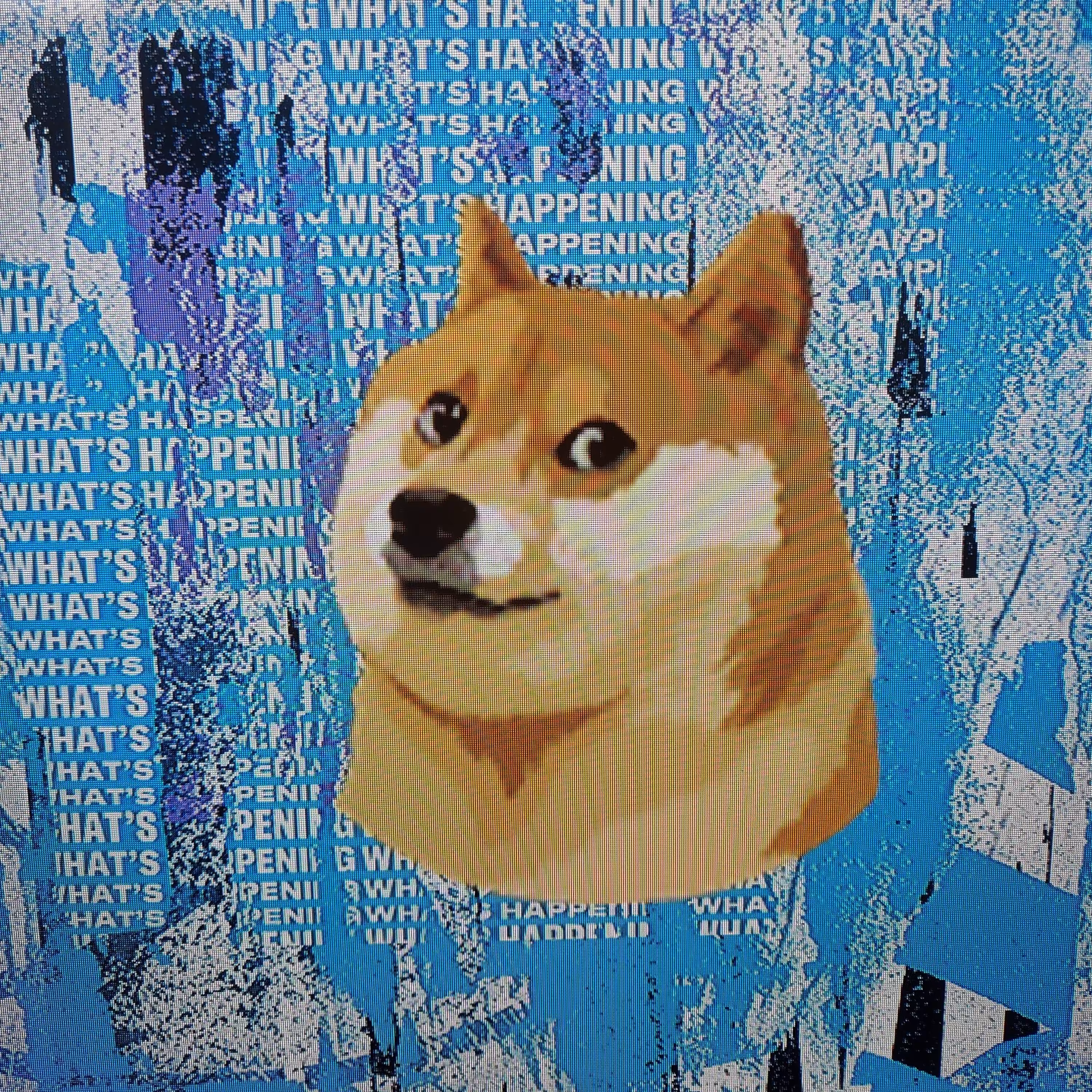 tweeeter dogo