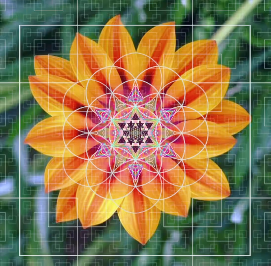 Sacred Flower
