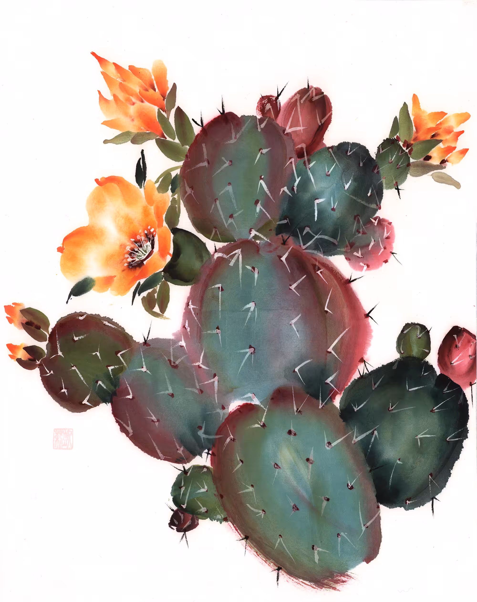 Prickly Pear Cactus