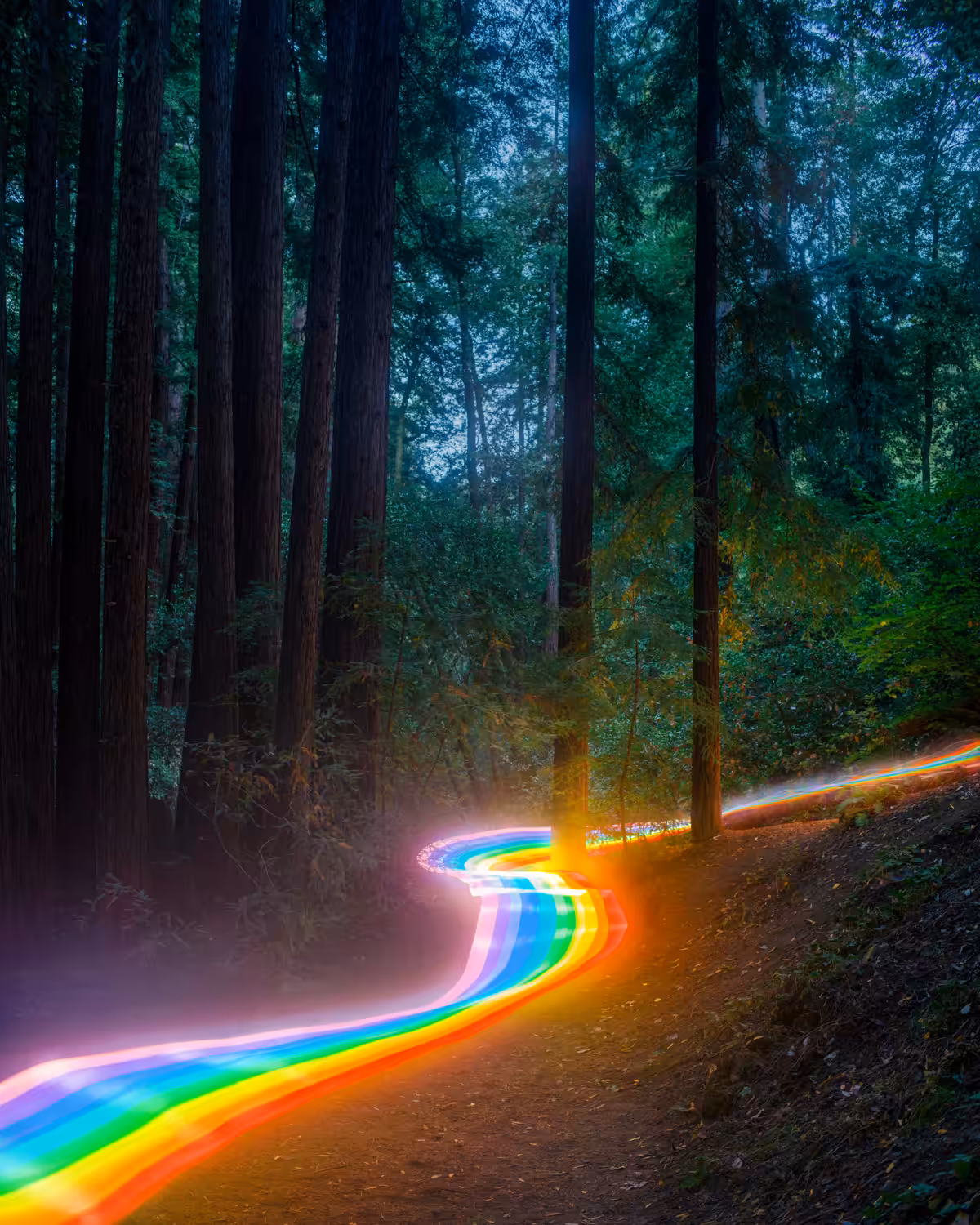 Rainbow Road - Redwoods