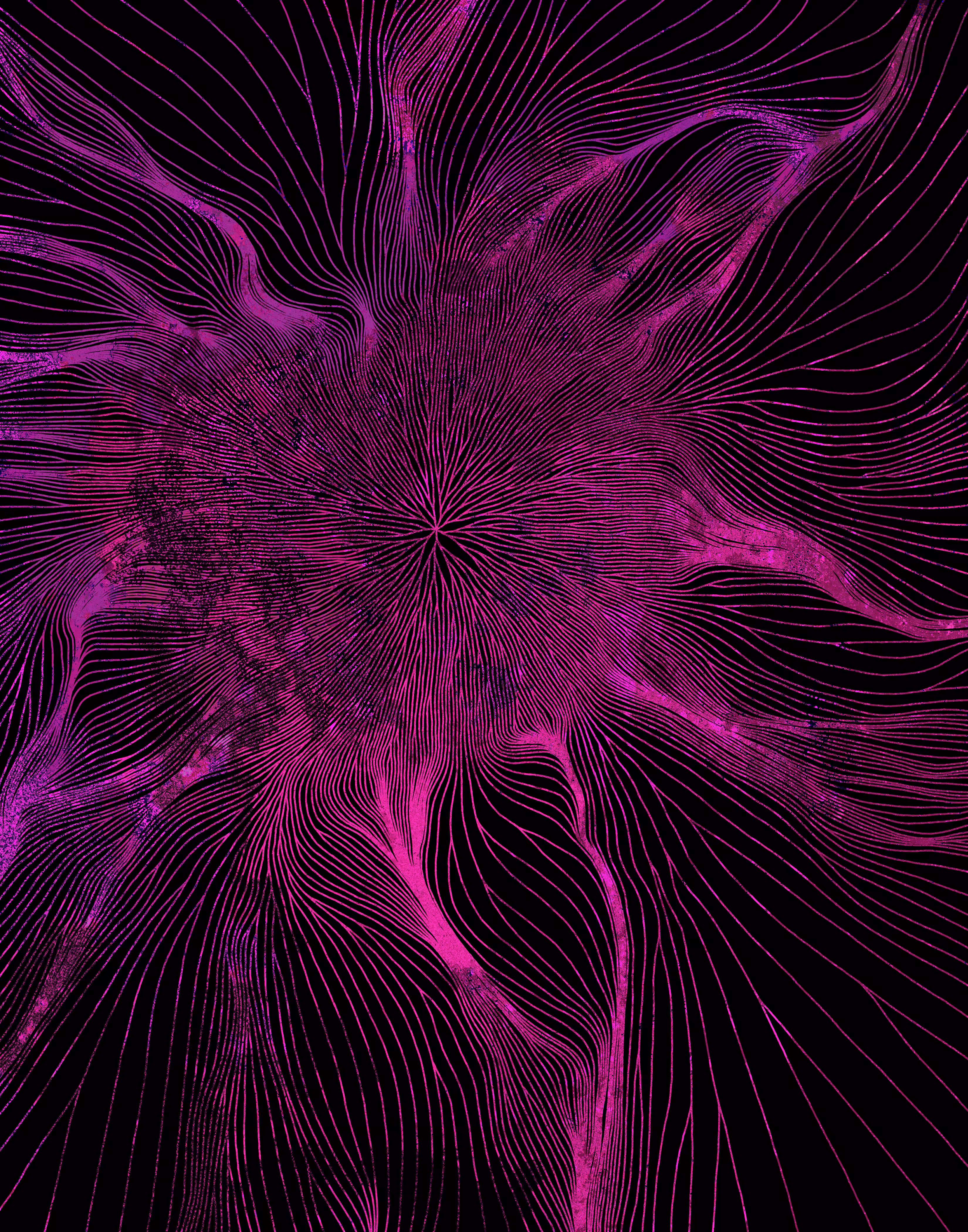 origin and destination (pink)