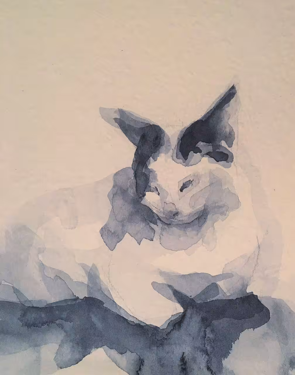 CATS.: Bella.
