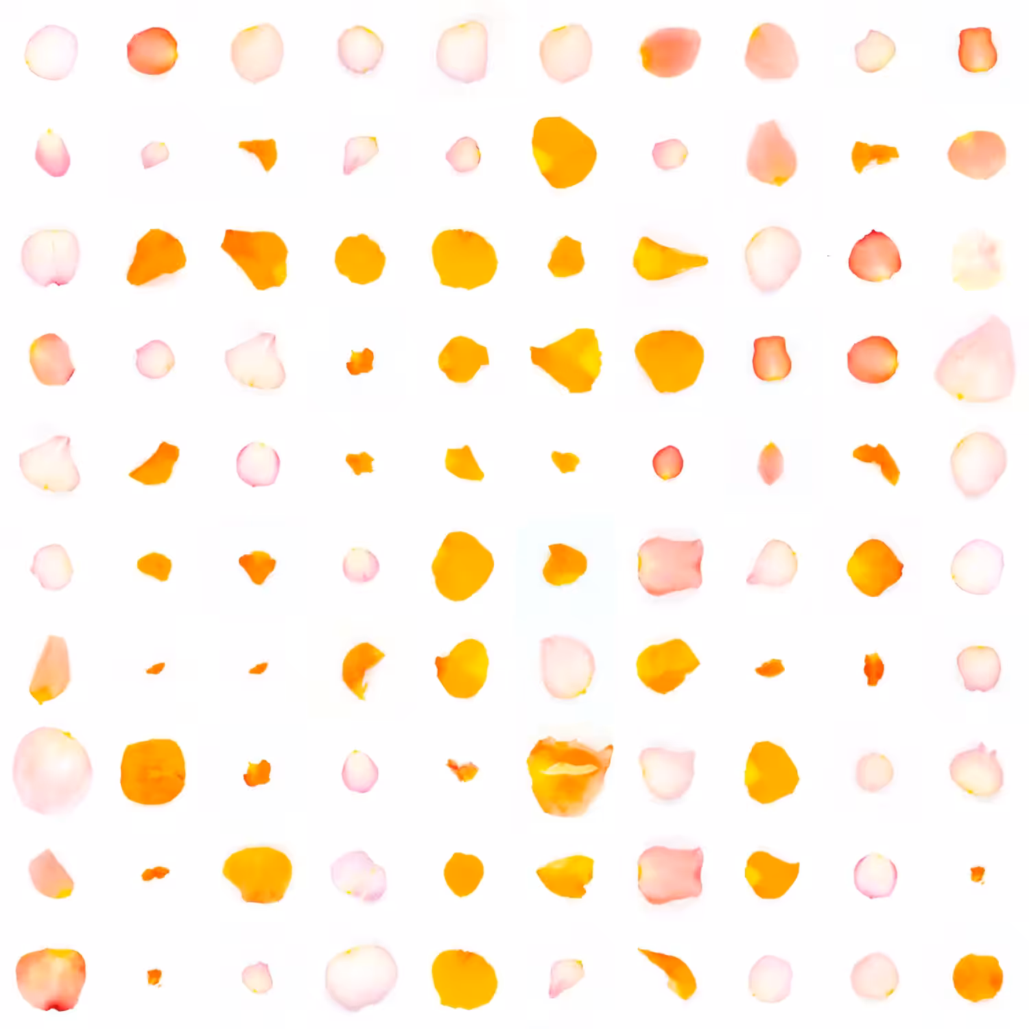 Infinite Petals 10x10#335