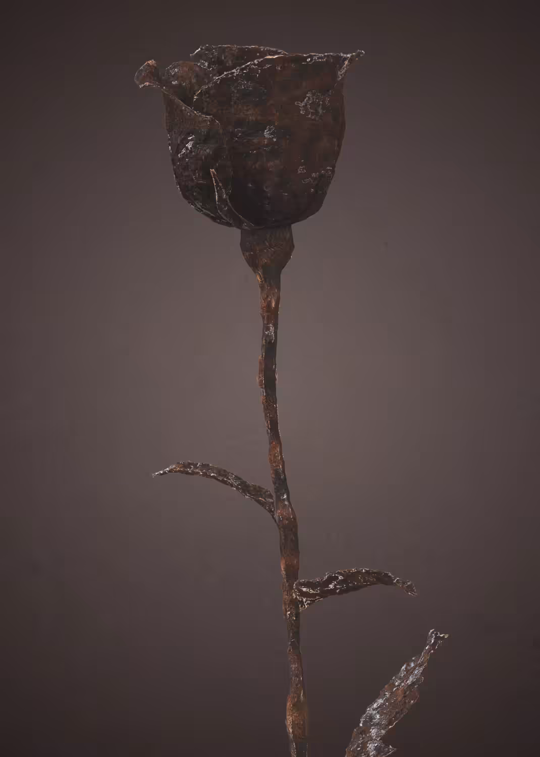 Rose #10: Rust