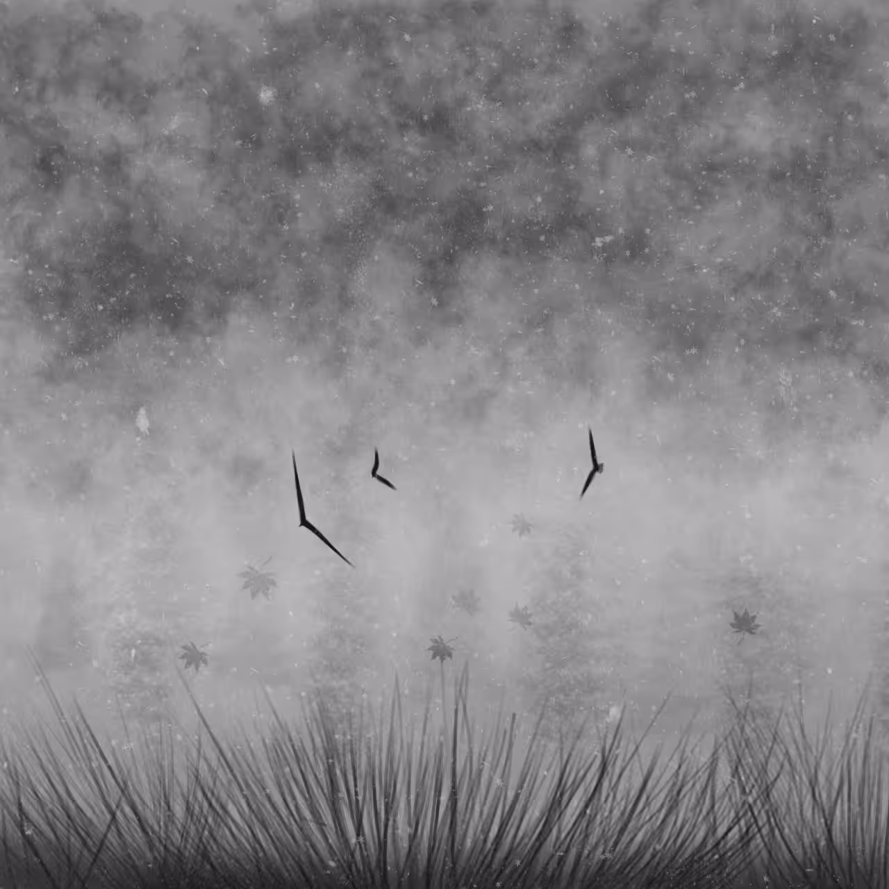 Flying in the fog