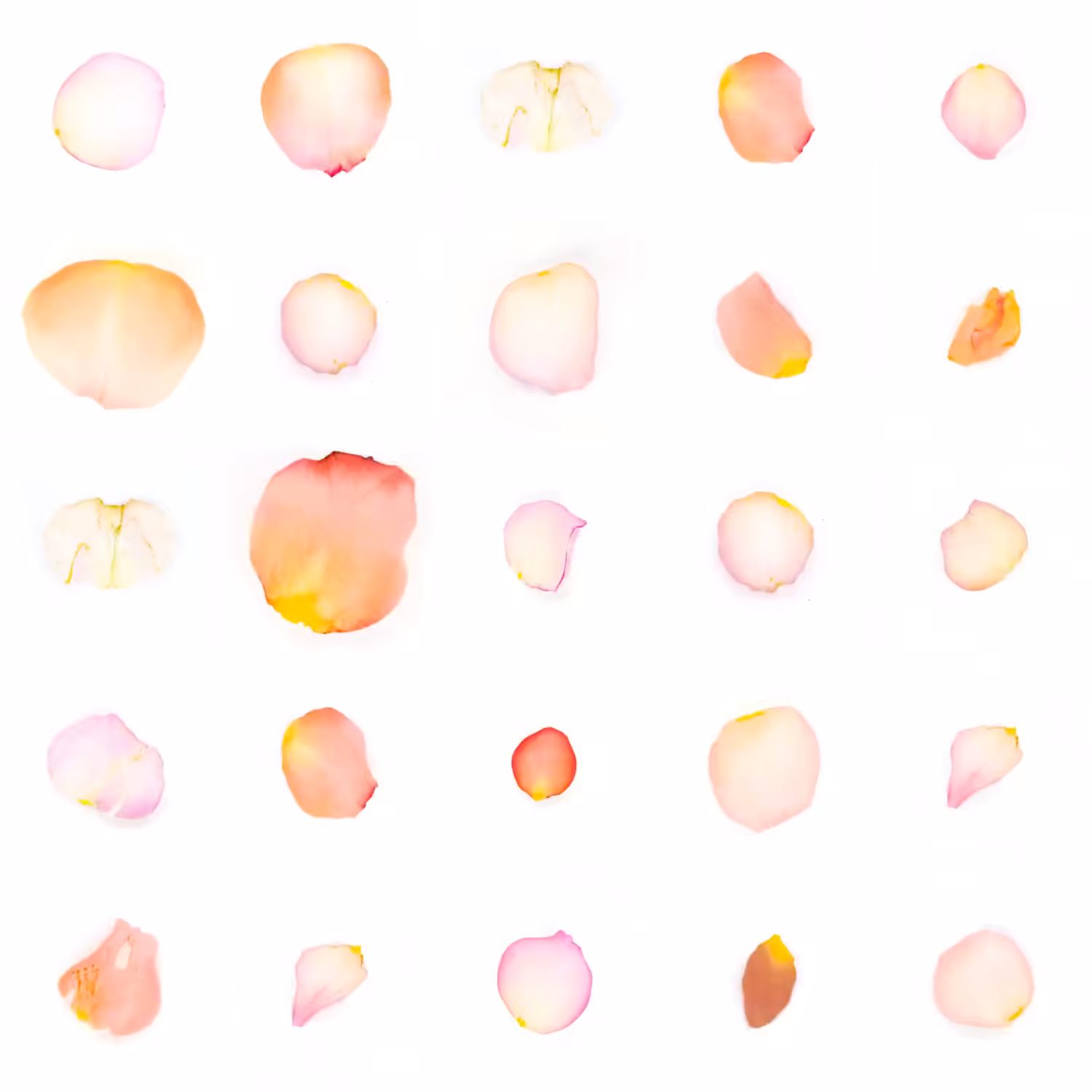 Infinite Petals 5x5#181