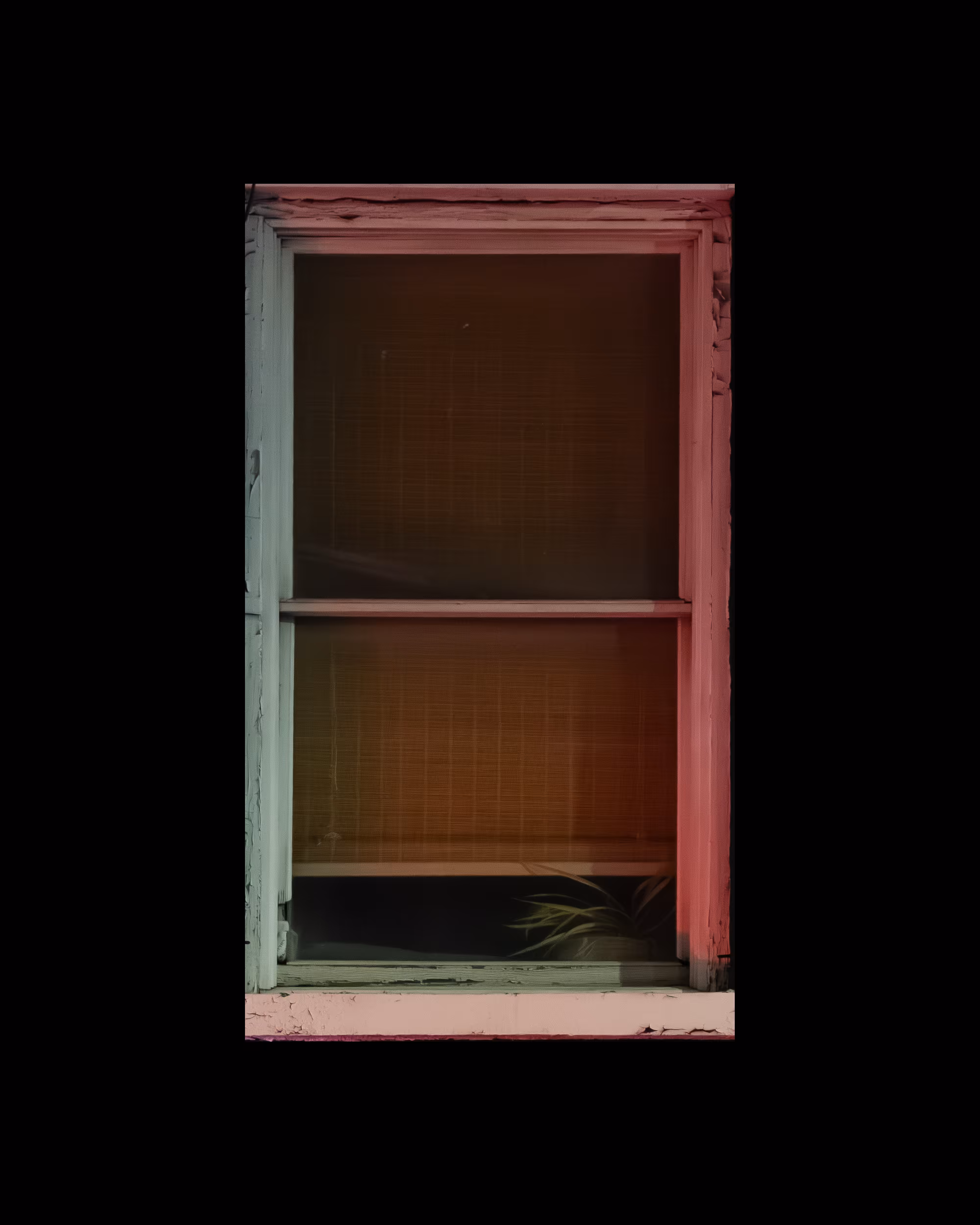 WINDOWS // NYC: WINDOW 165