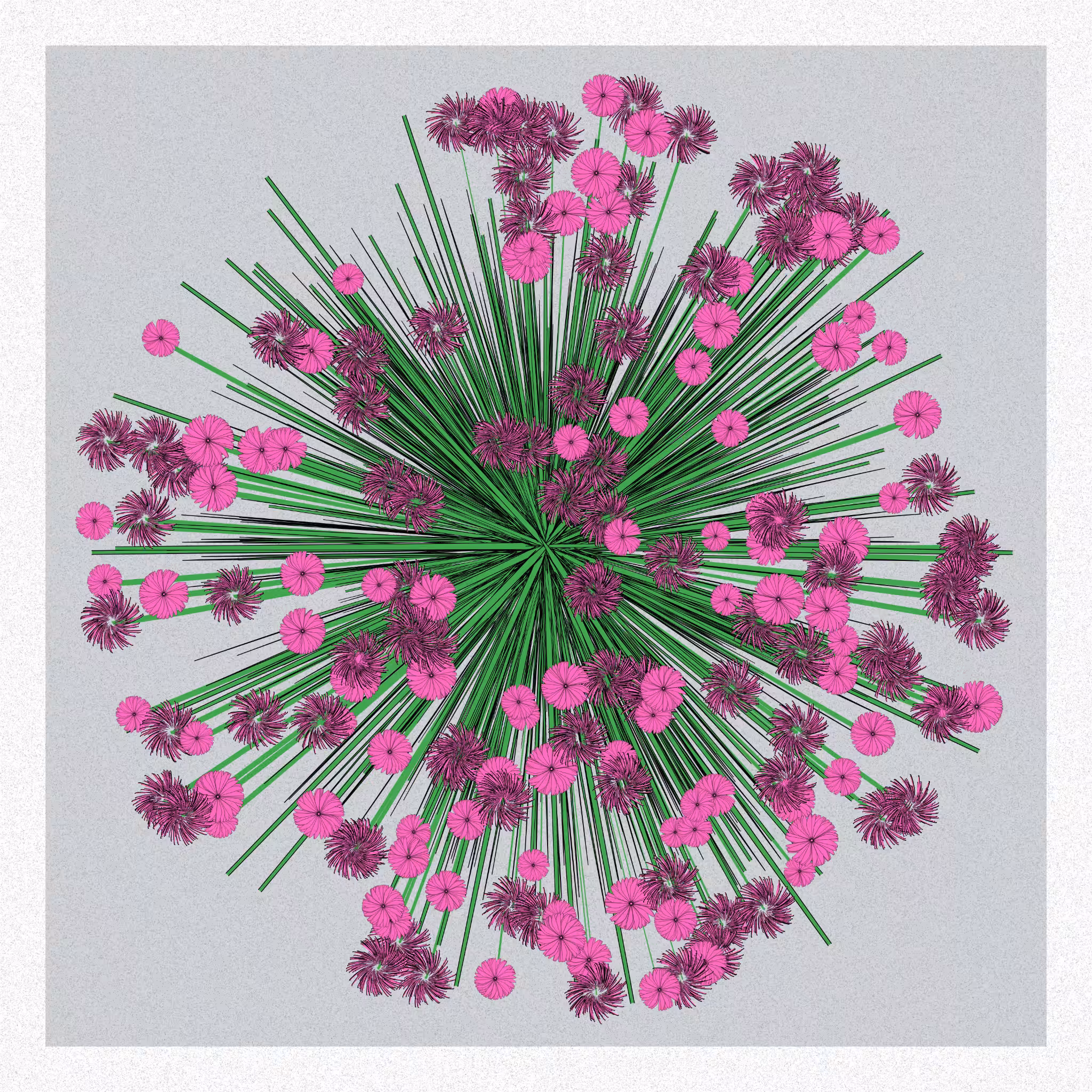 Flowers #122