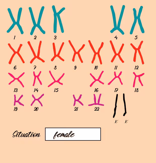"Karyotype" #11
