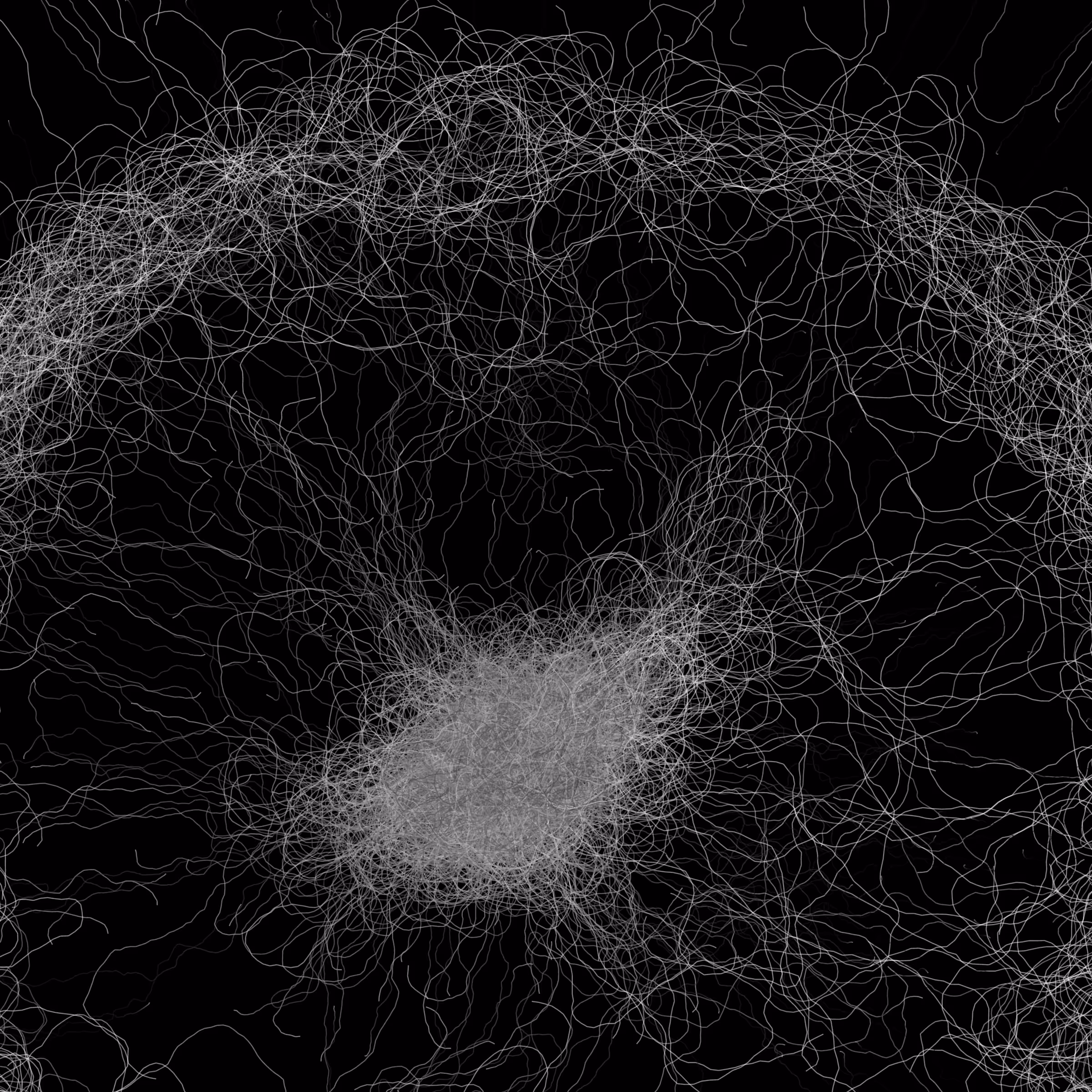 Phototaxis #636