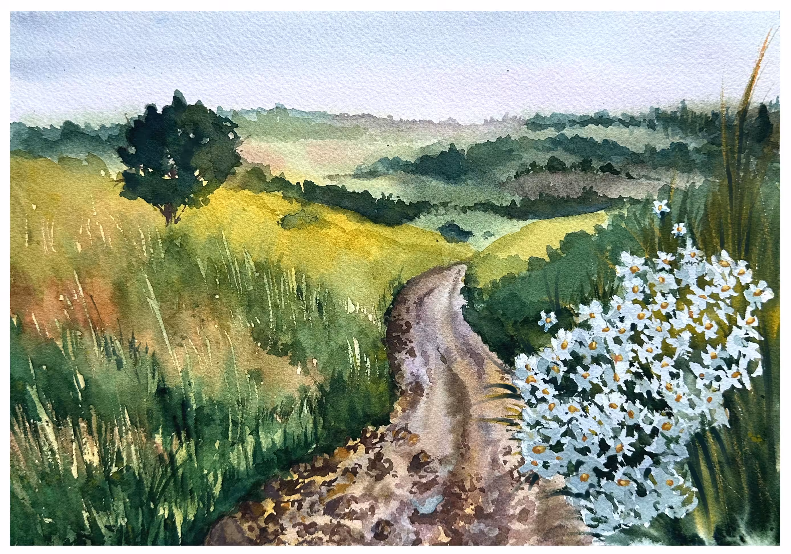 A part of me: Green Meadow