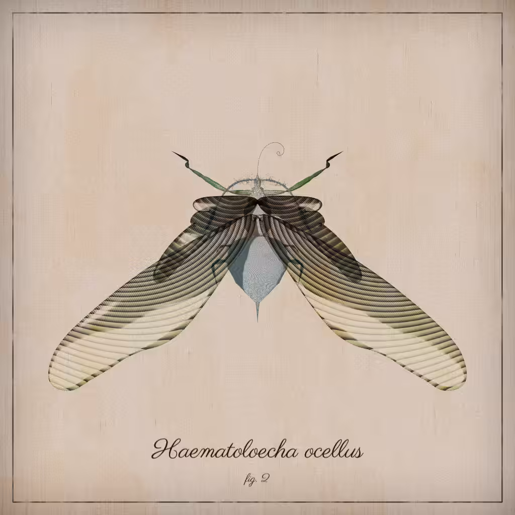 ProcGen Entomology #266