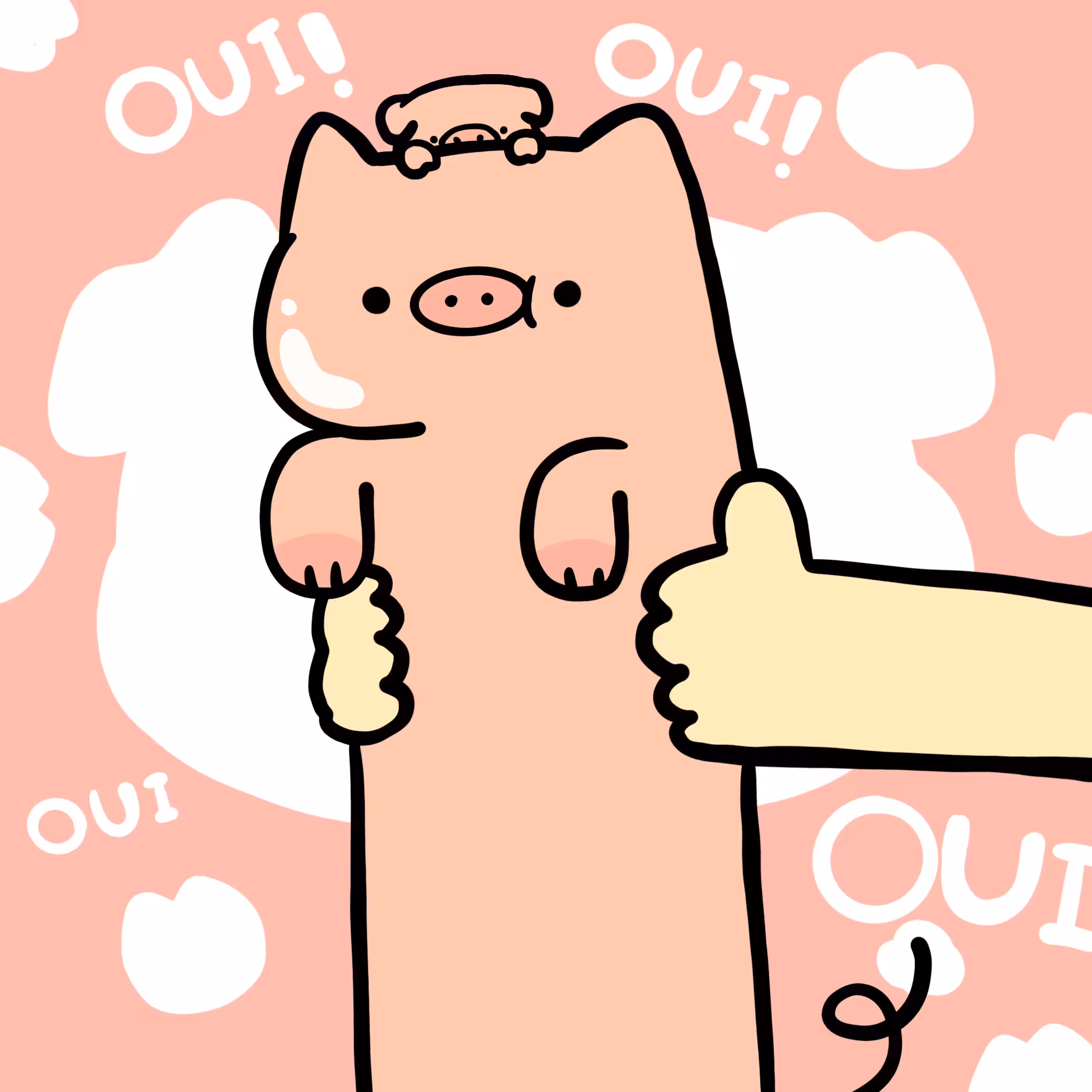 Long Long pig Cat #0155