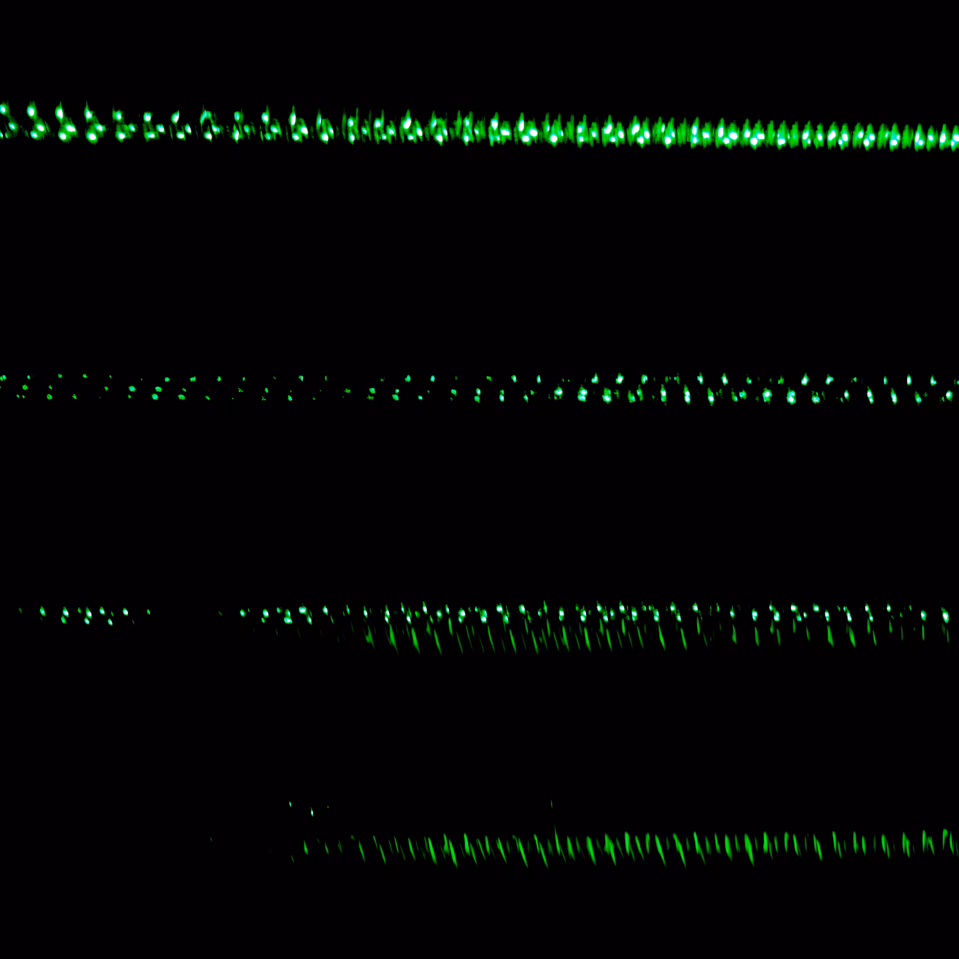 daily patterns I