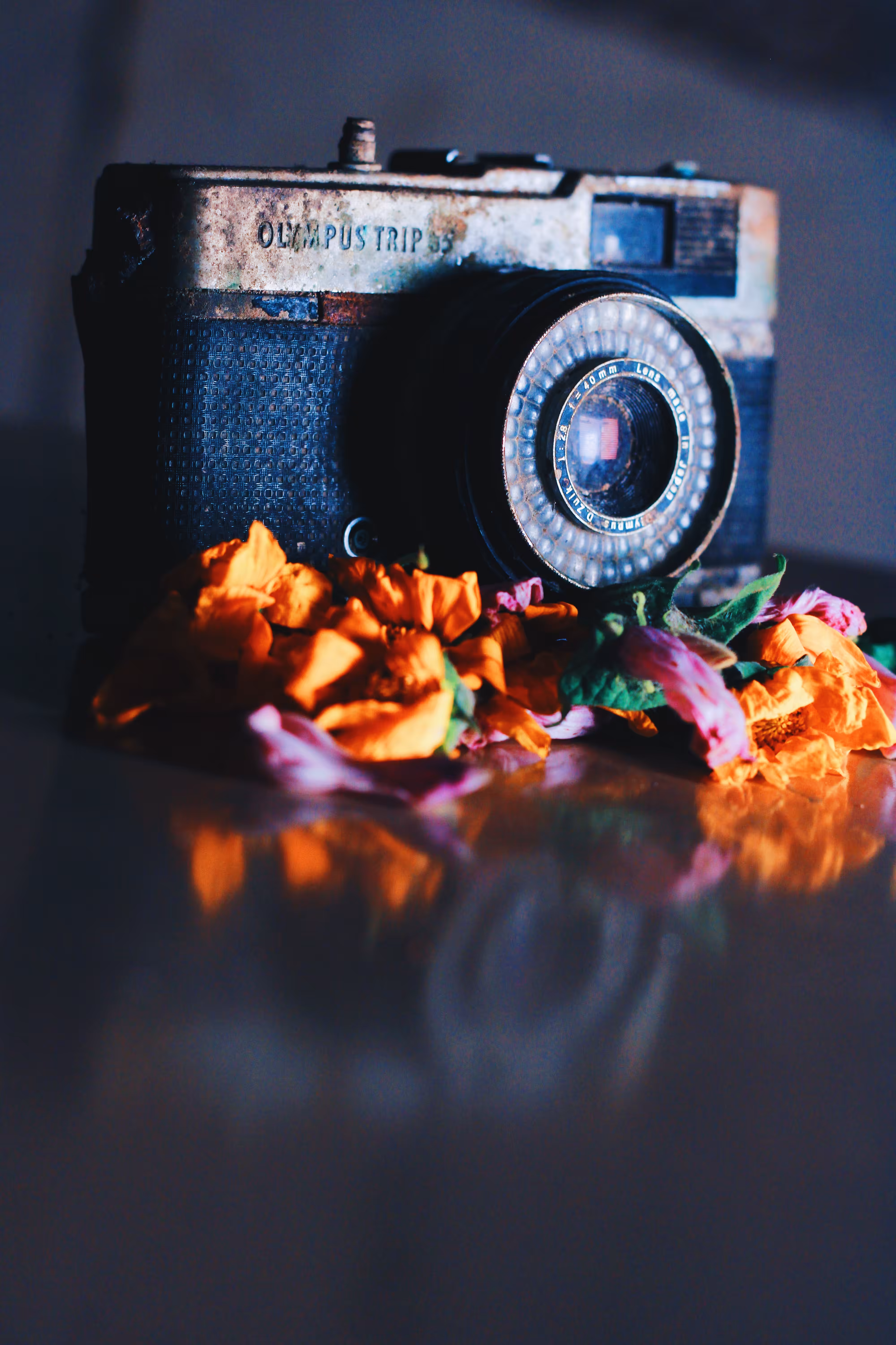 Storytelling Collection: Petals Over Exposed Heart