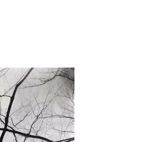 [dis]connections pt 7