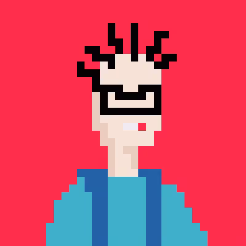 nERD PUNK #12