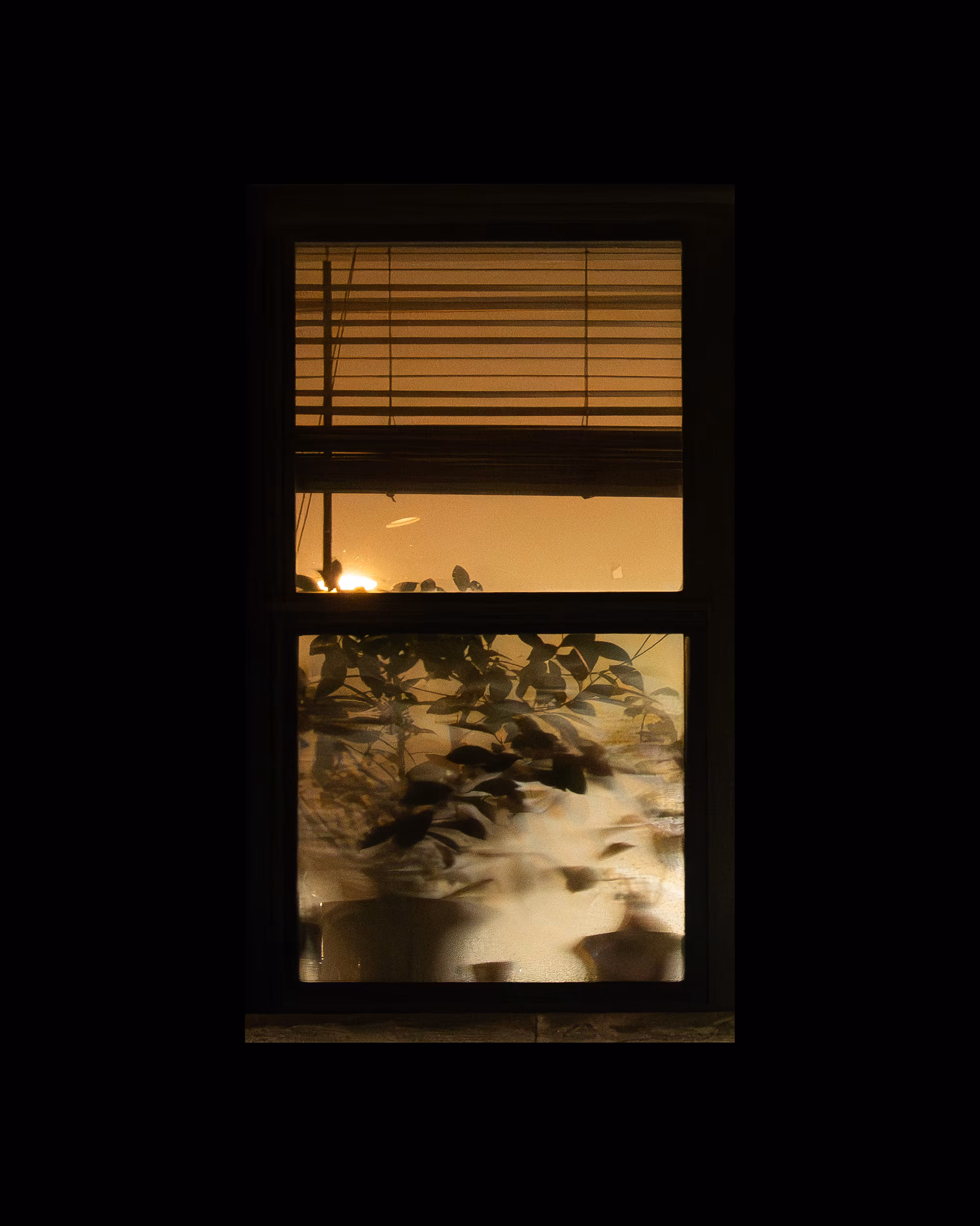 WINDOWS // NYC: WINDOW 138