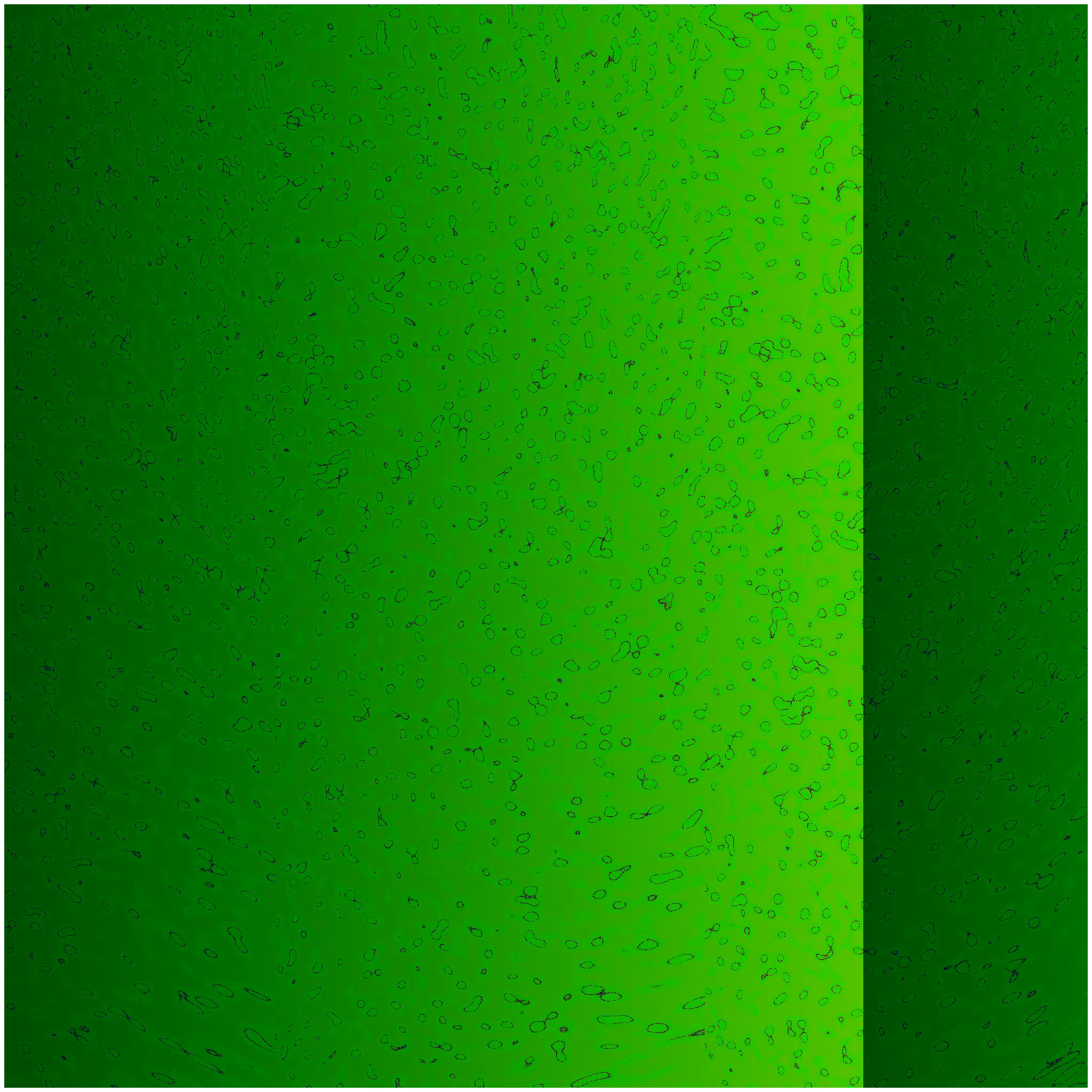Memories of A Harsh Noise Day #12