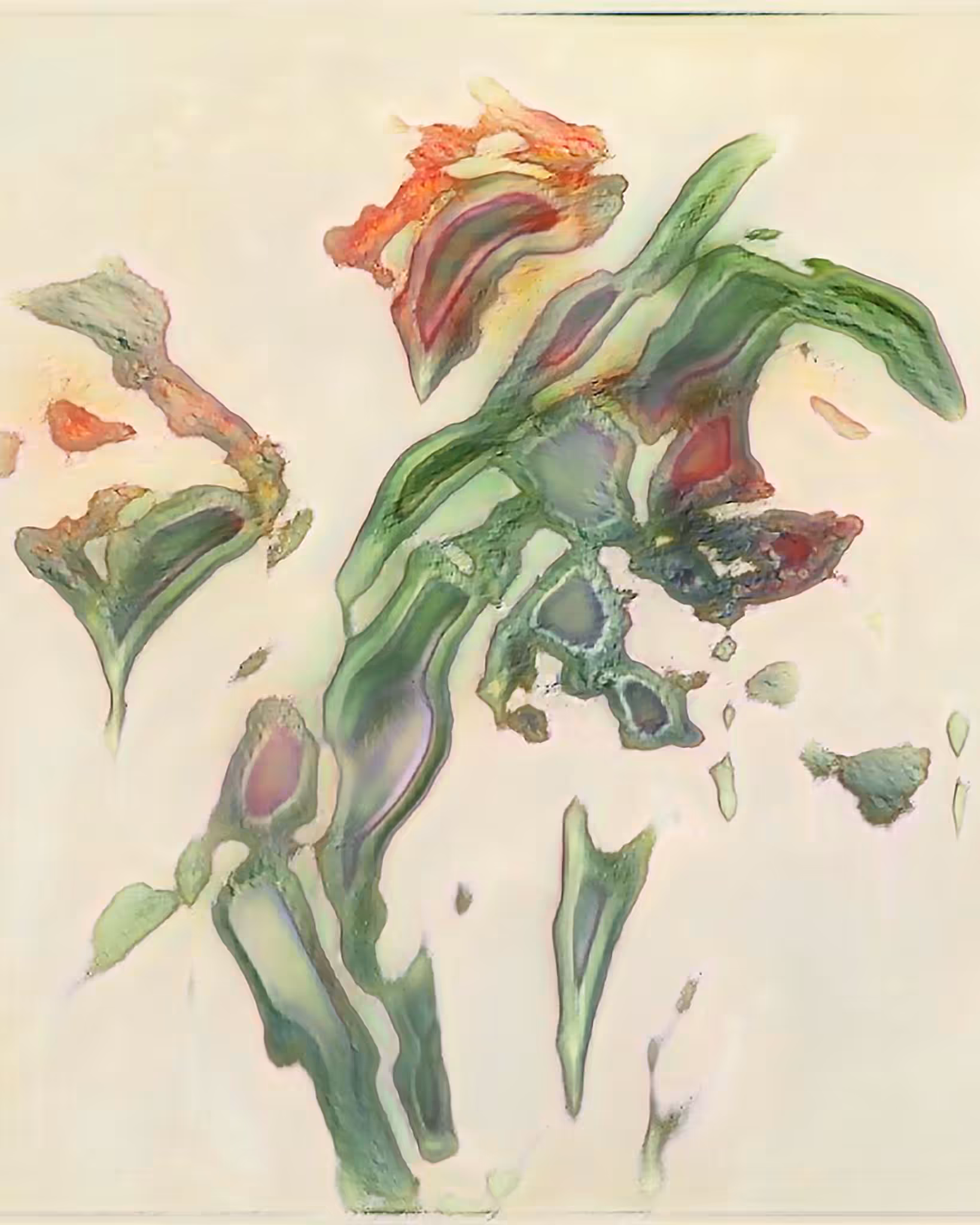 Imaginary Botanic (Florantum)