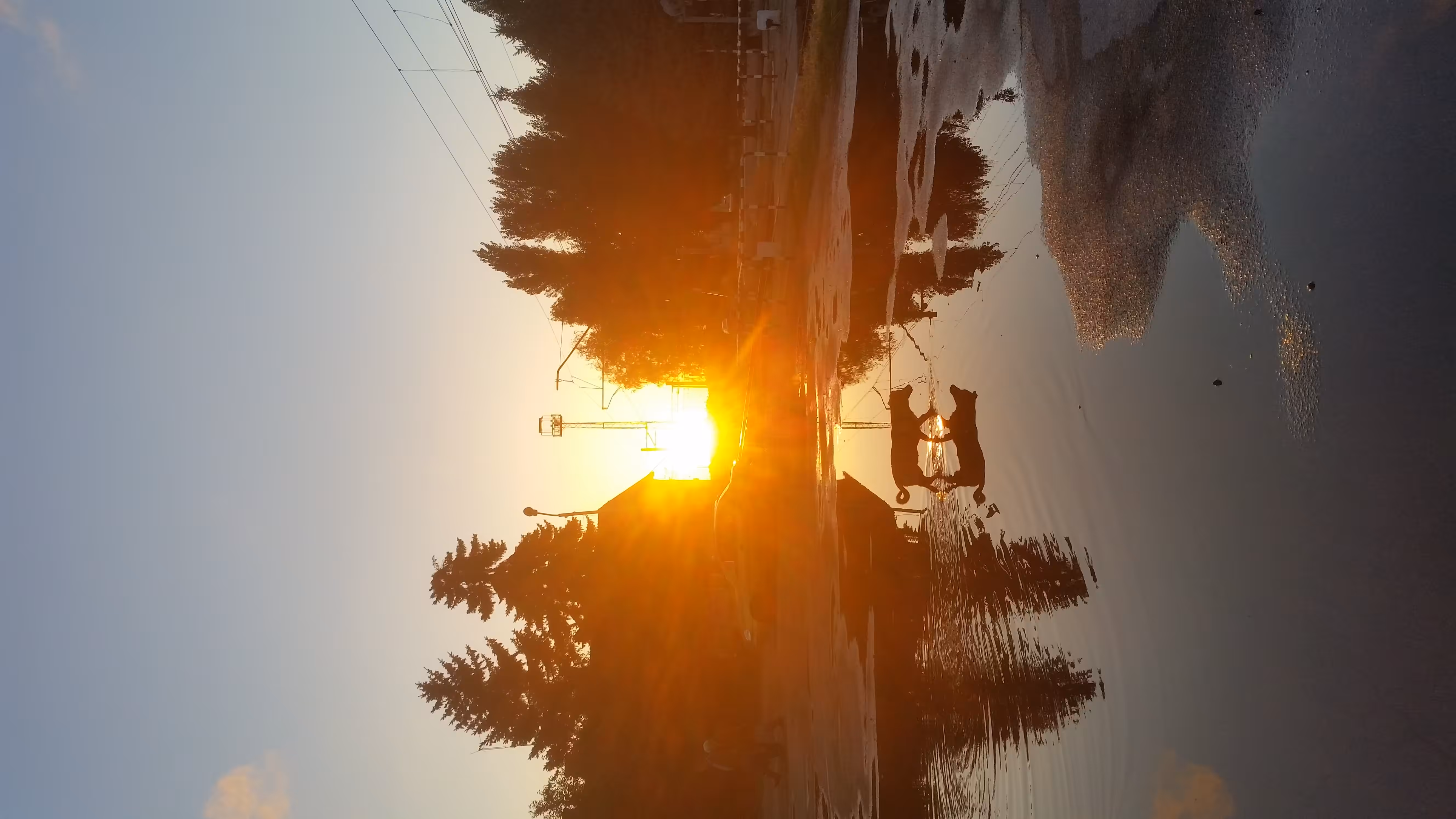 After the rain