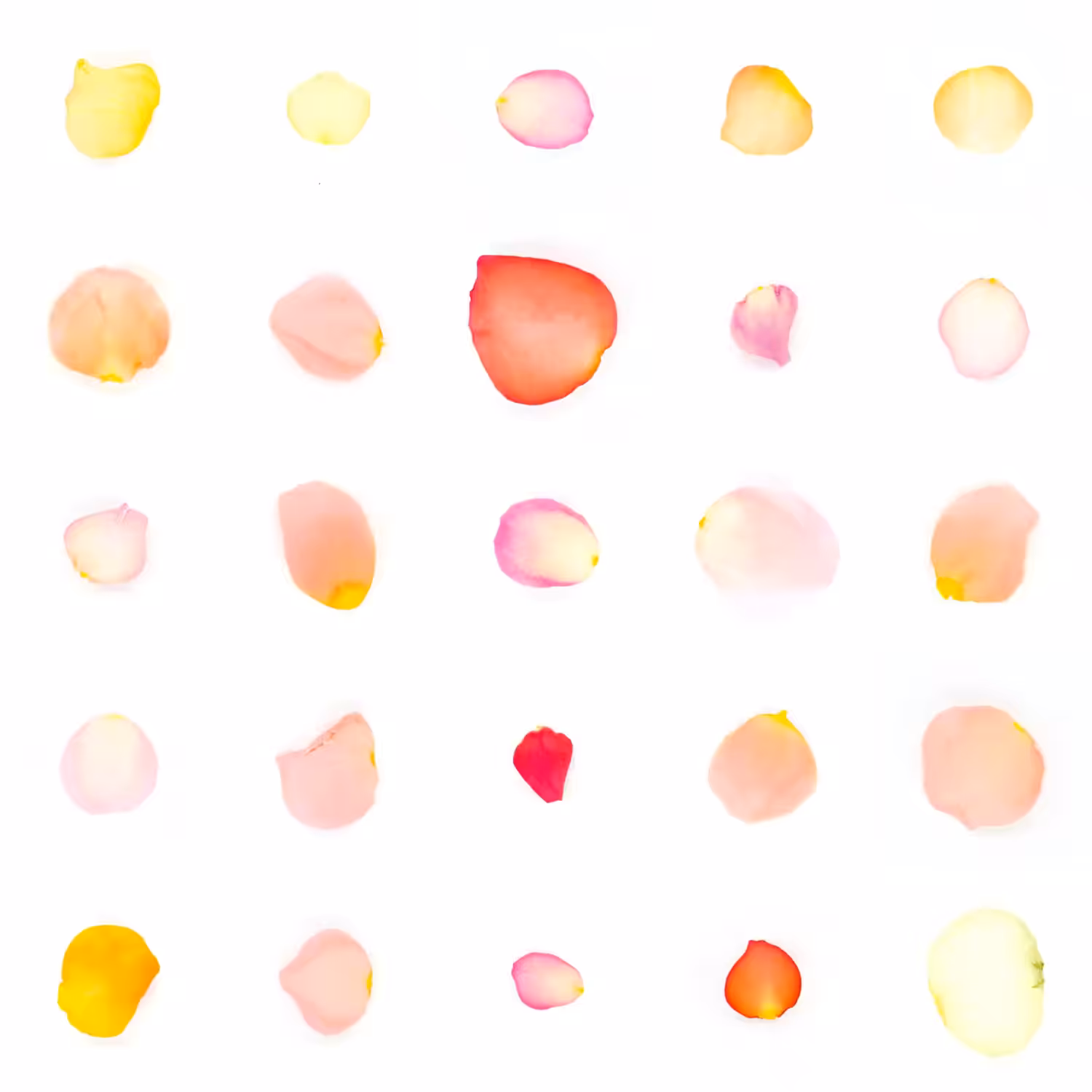 Infinite Petals 5x5#20501