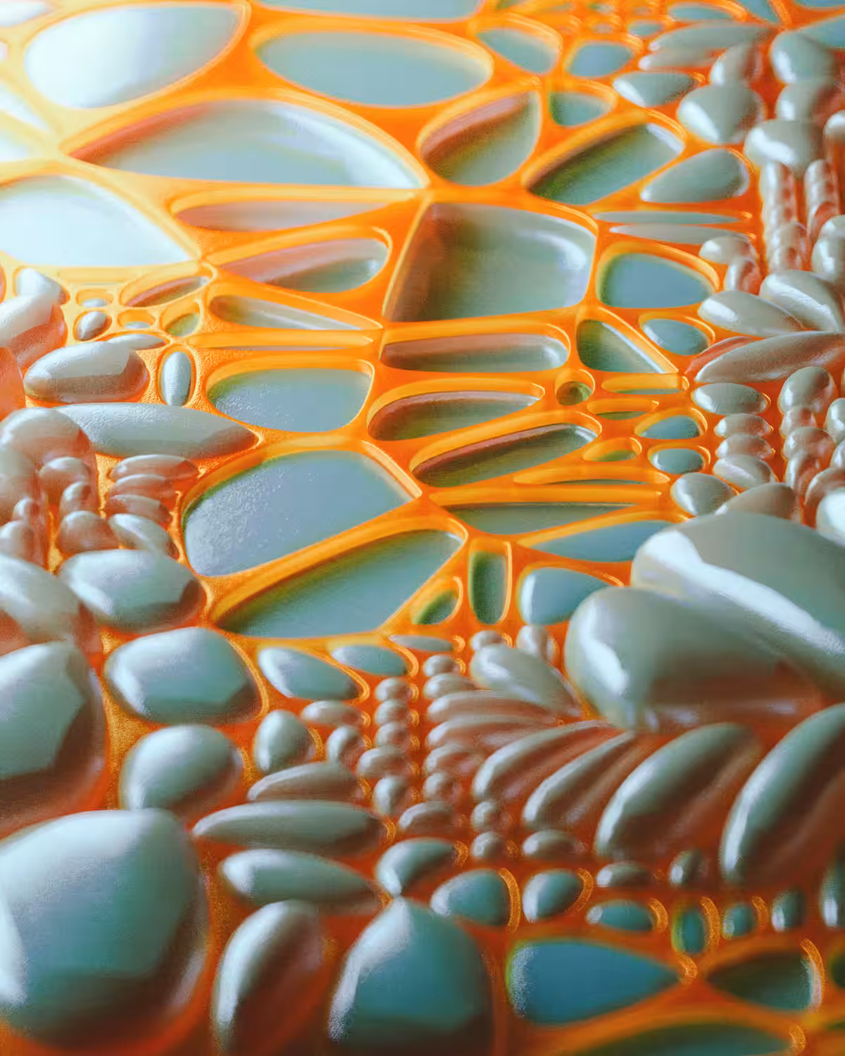 Aposematism