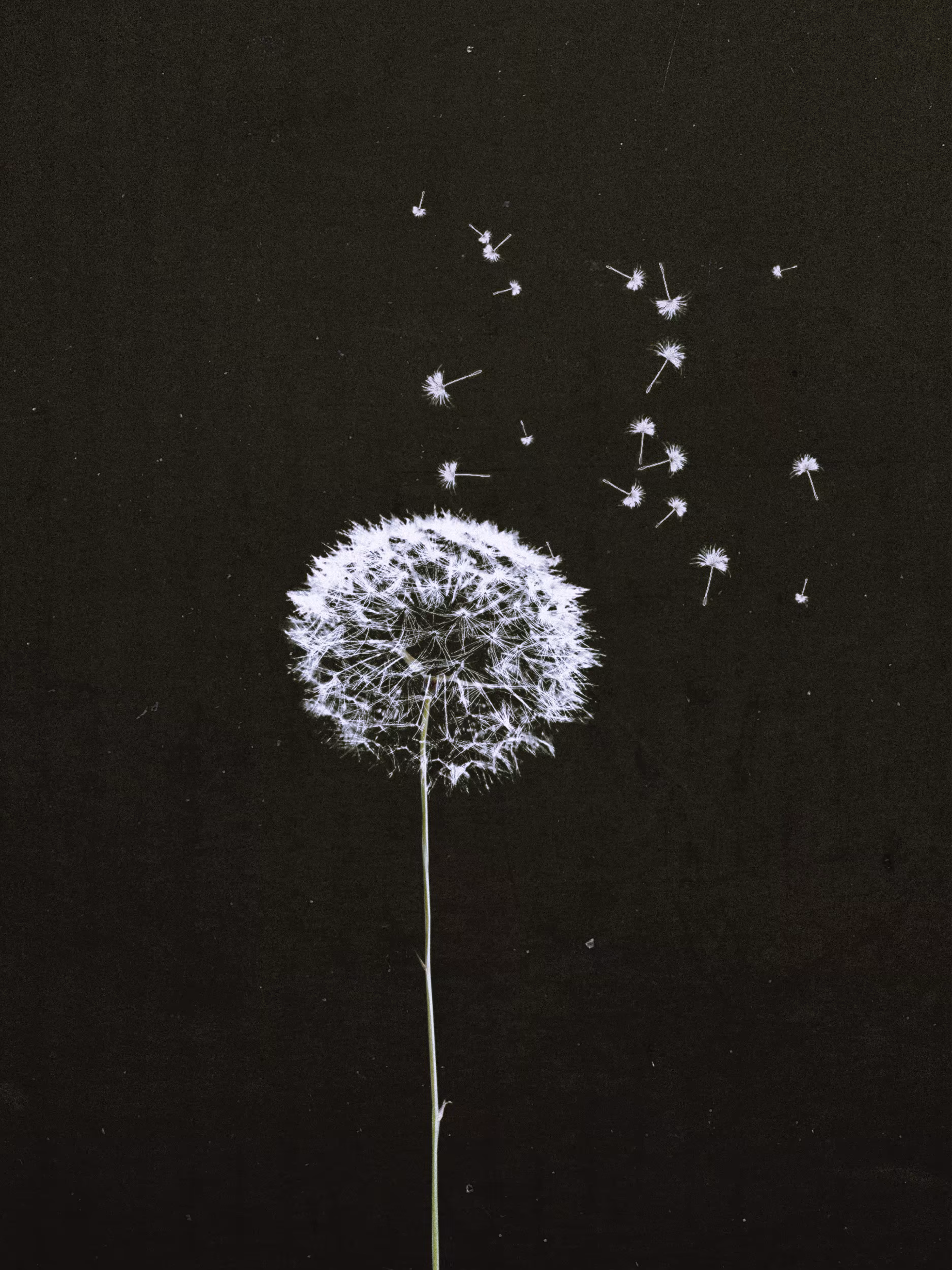 Blown Away