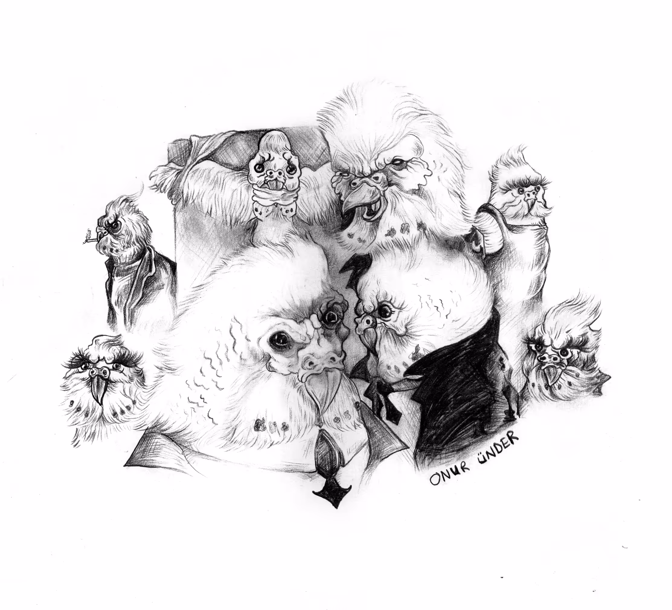 "Budgie Gang"