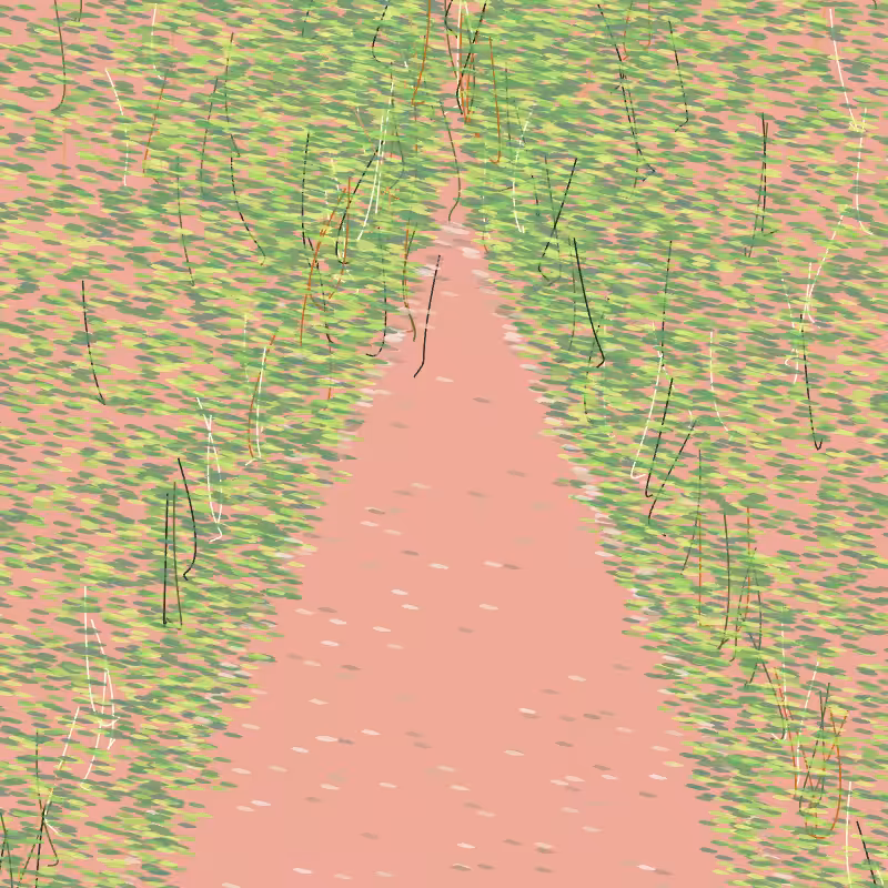 Forest path #1