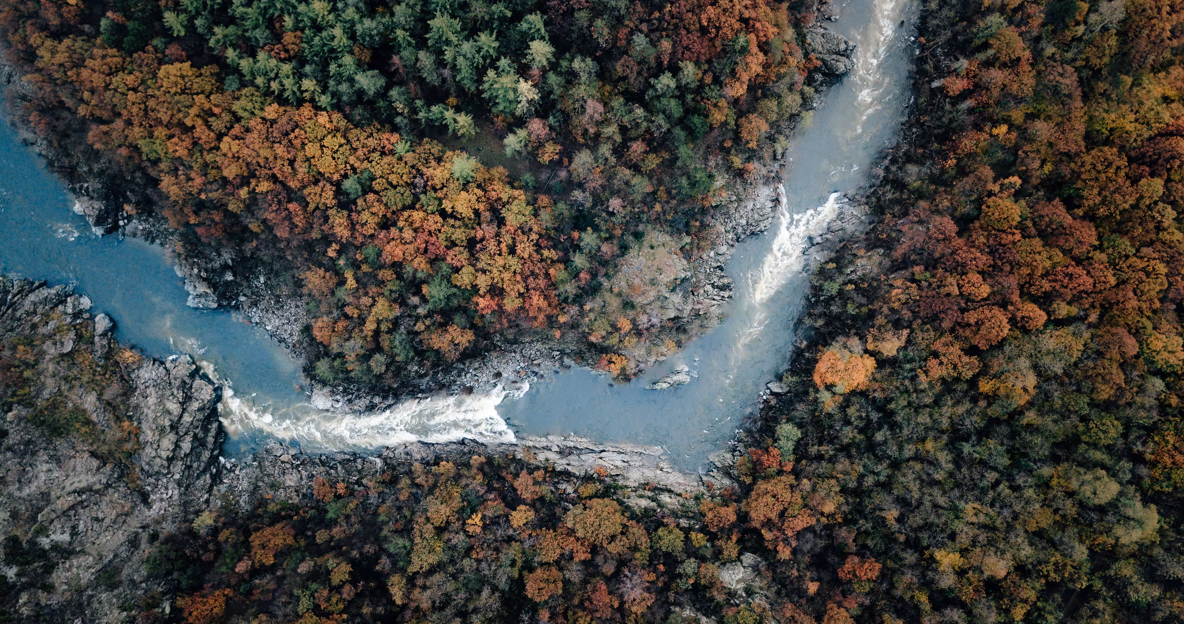 FALL