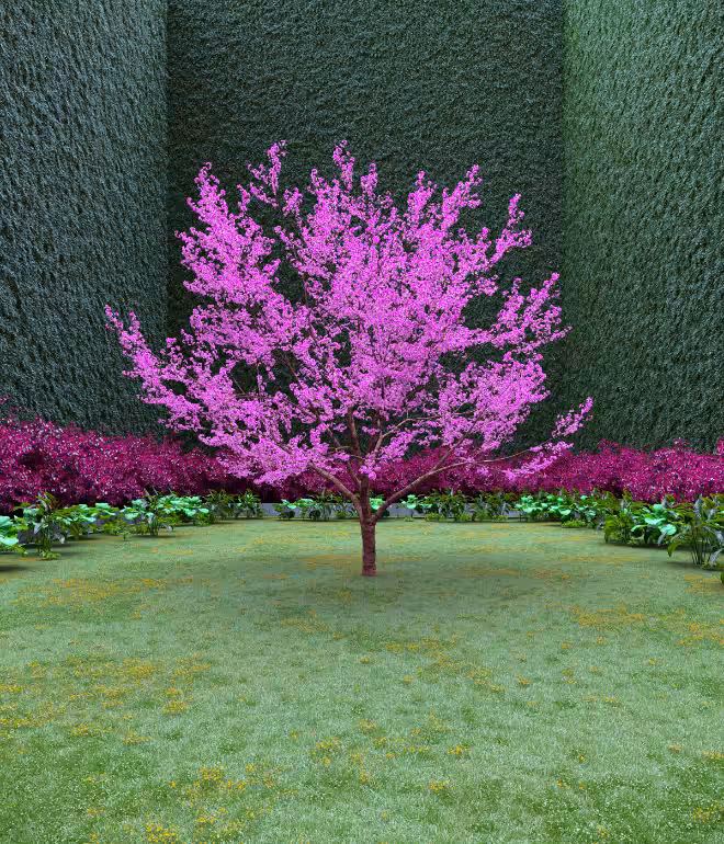 Garden of Imagination #79
