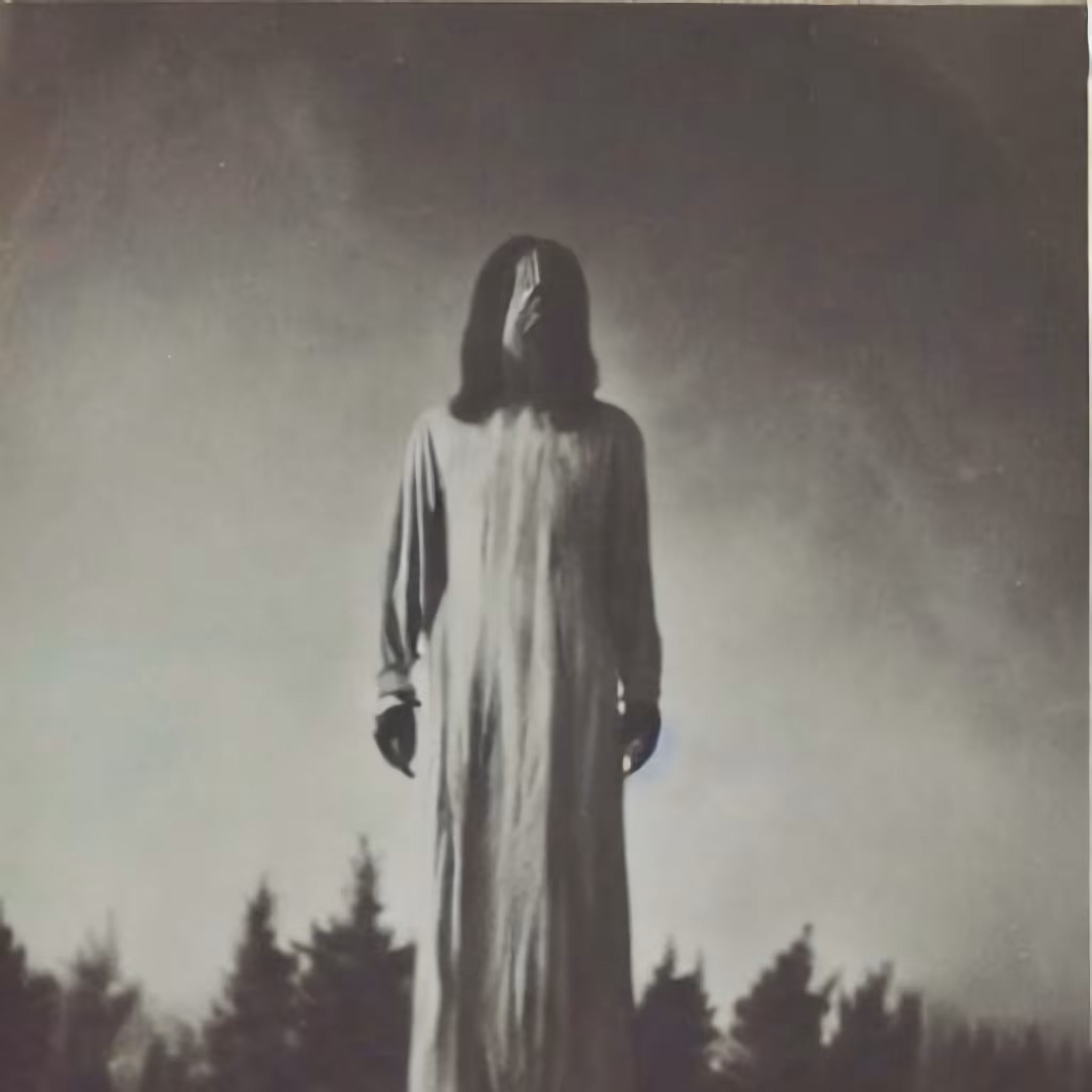 The Tall Woman