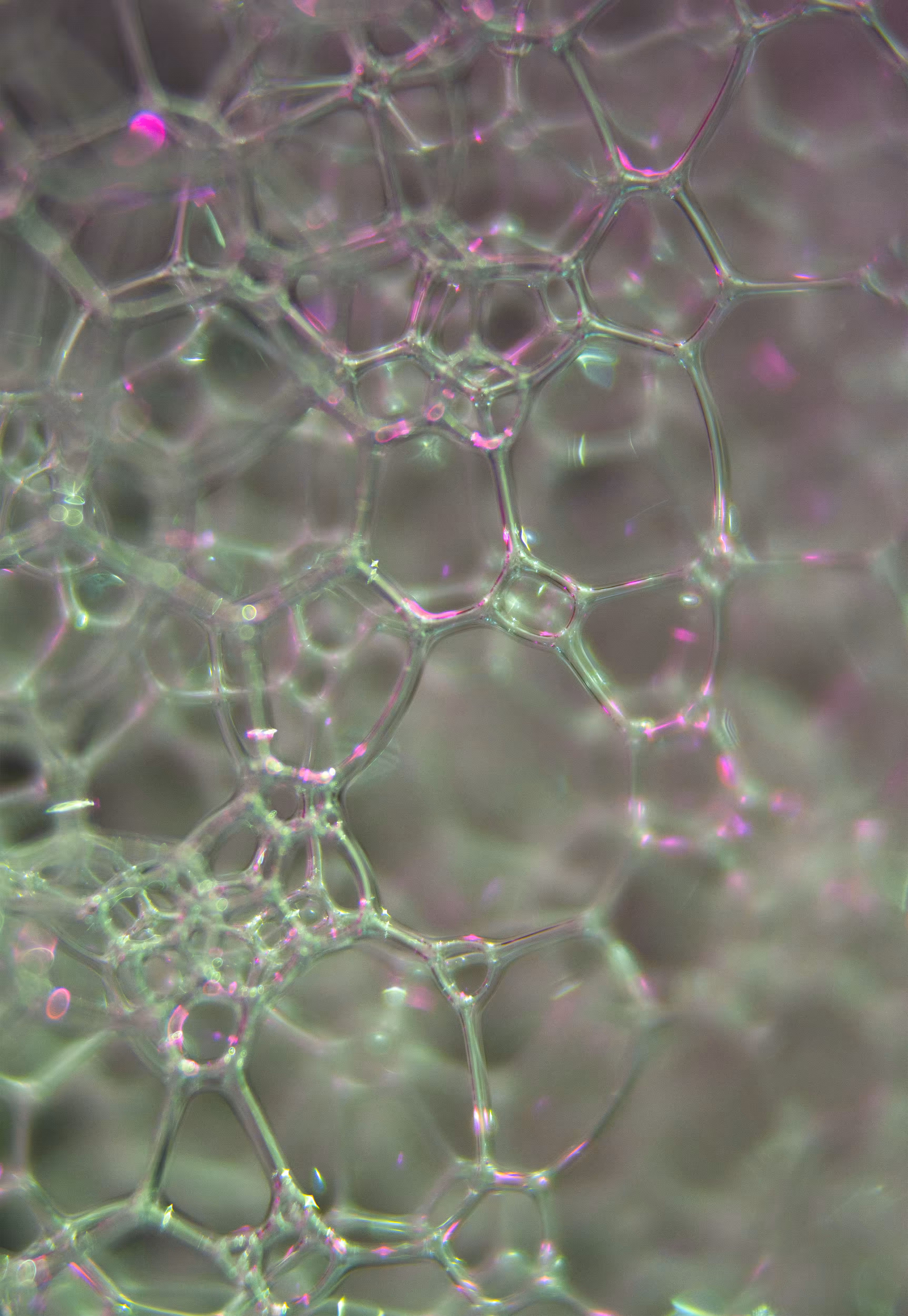 Abstract World of Soap Bubbles: #98 Bubbles