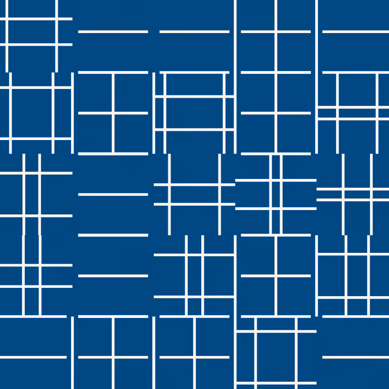 CENTURY-XXX-METAMORELLET #955