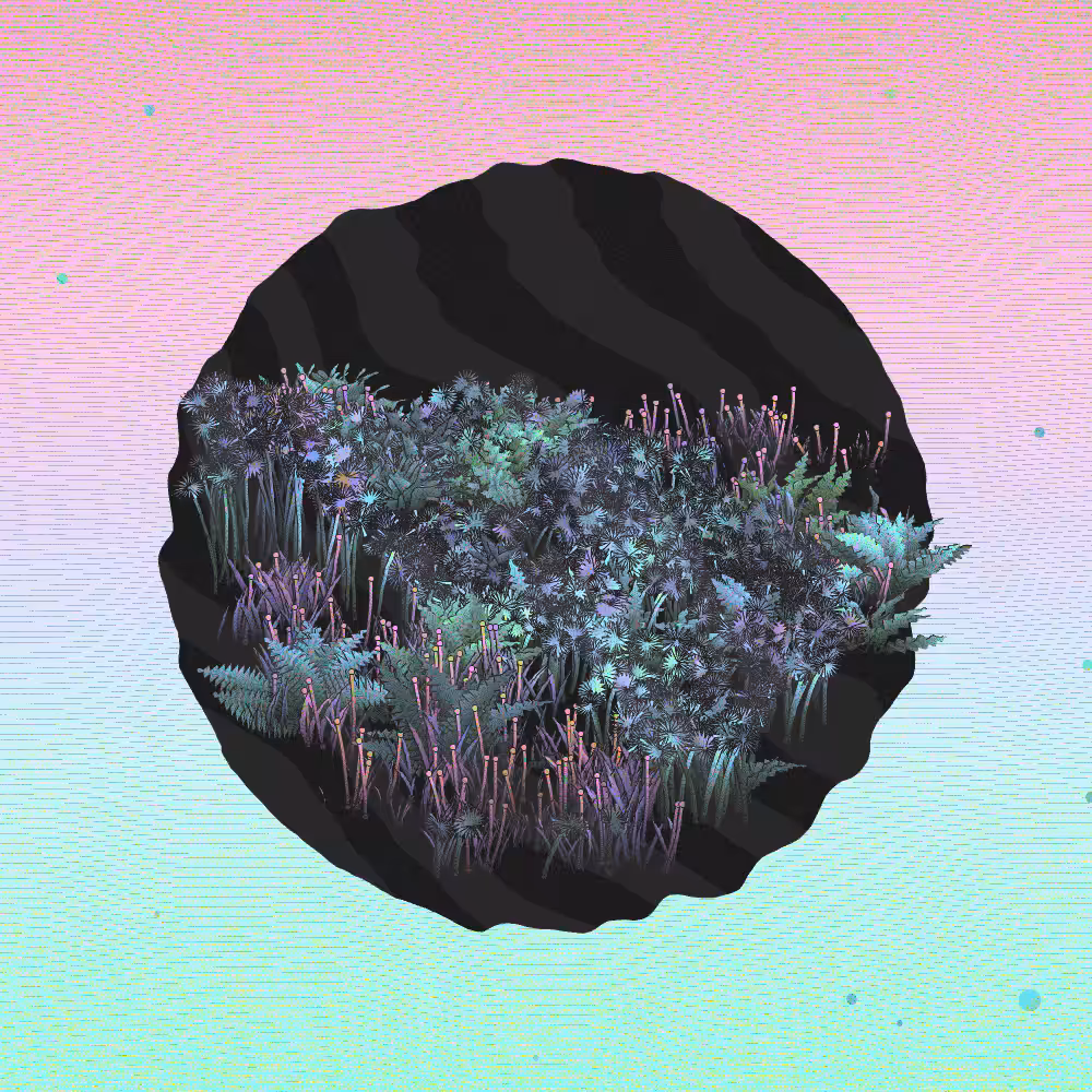 A Gift of Nature #51