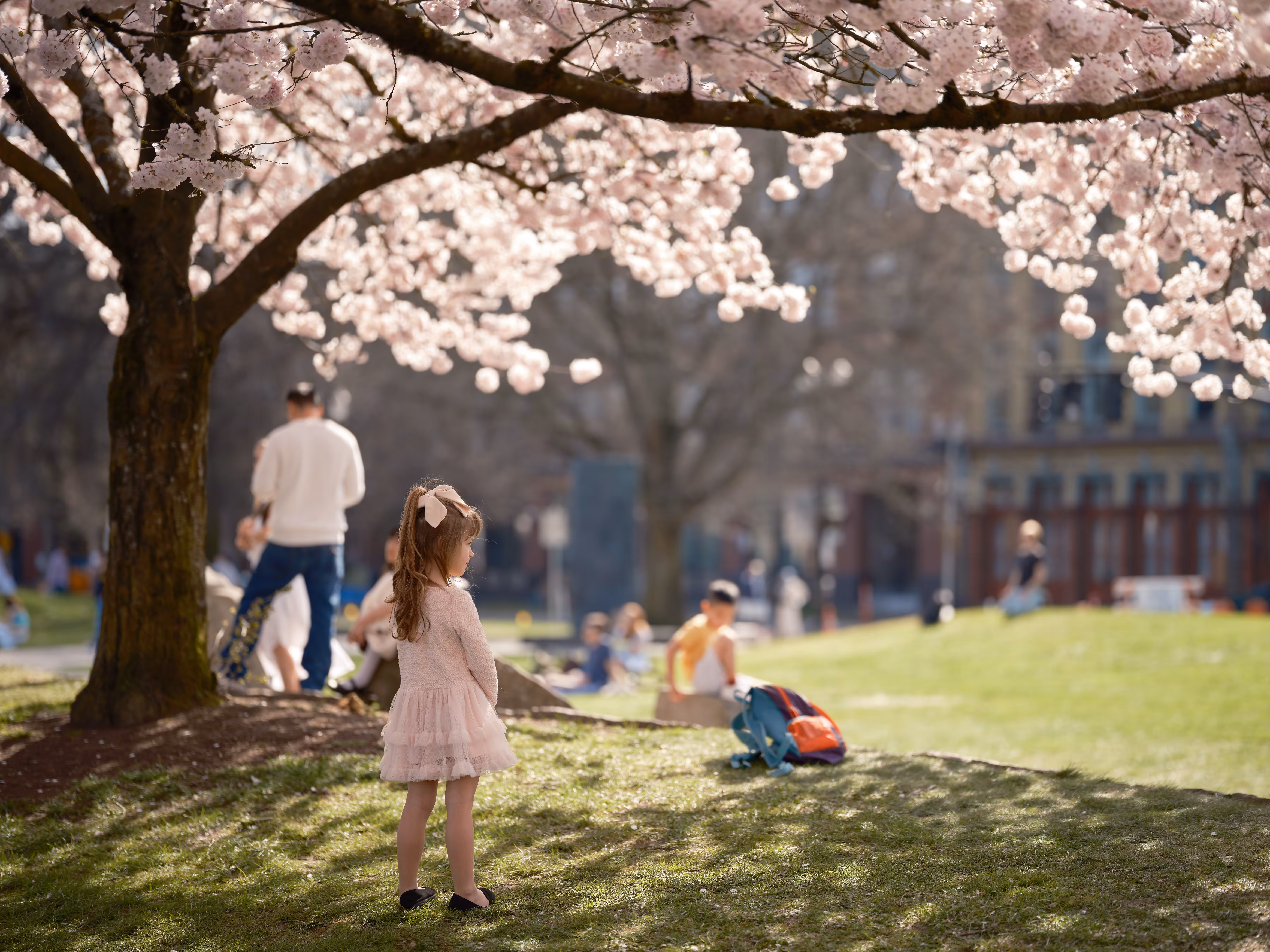 Springtime Vibes