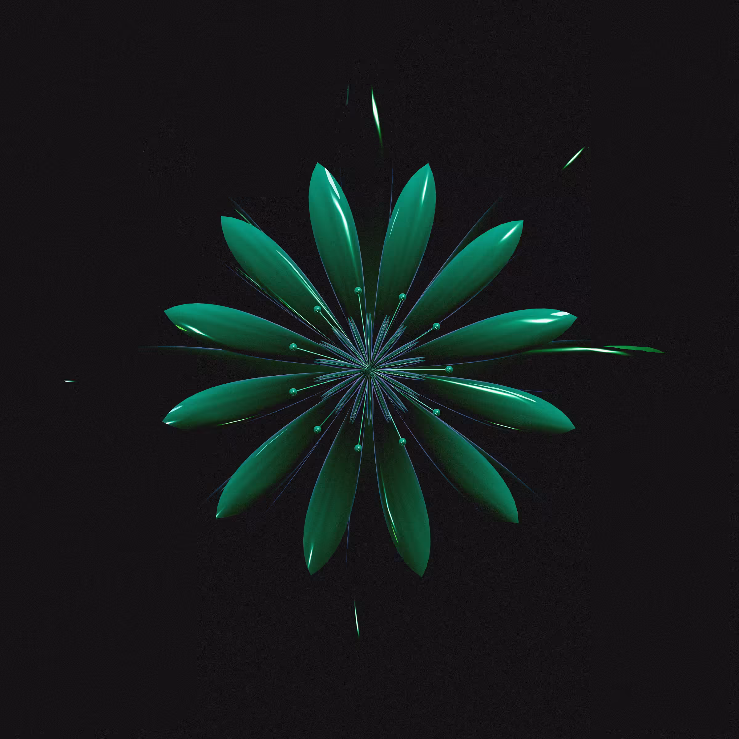 Geophylla #236