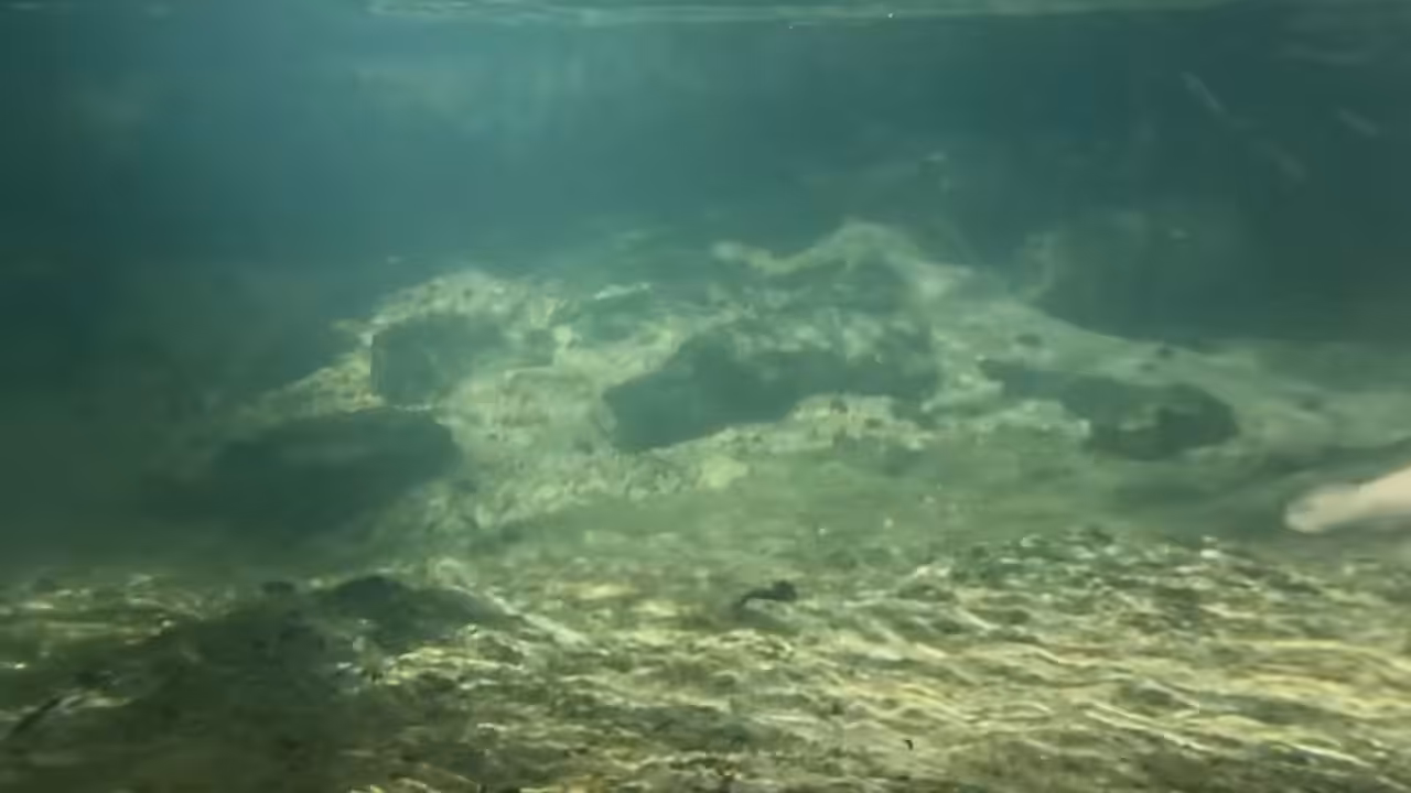intro