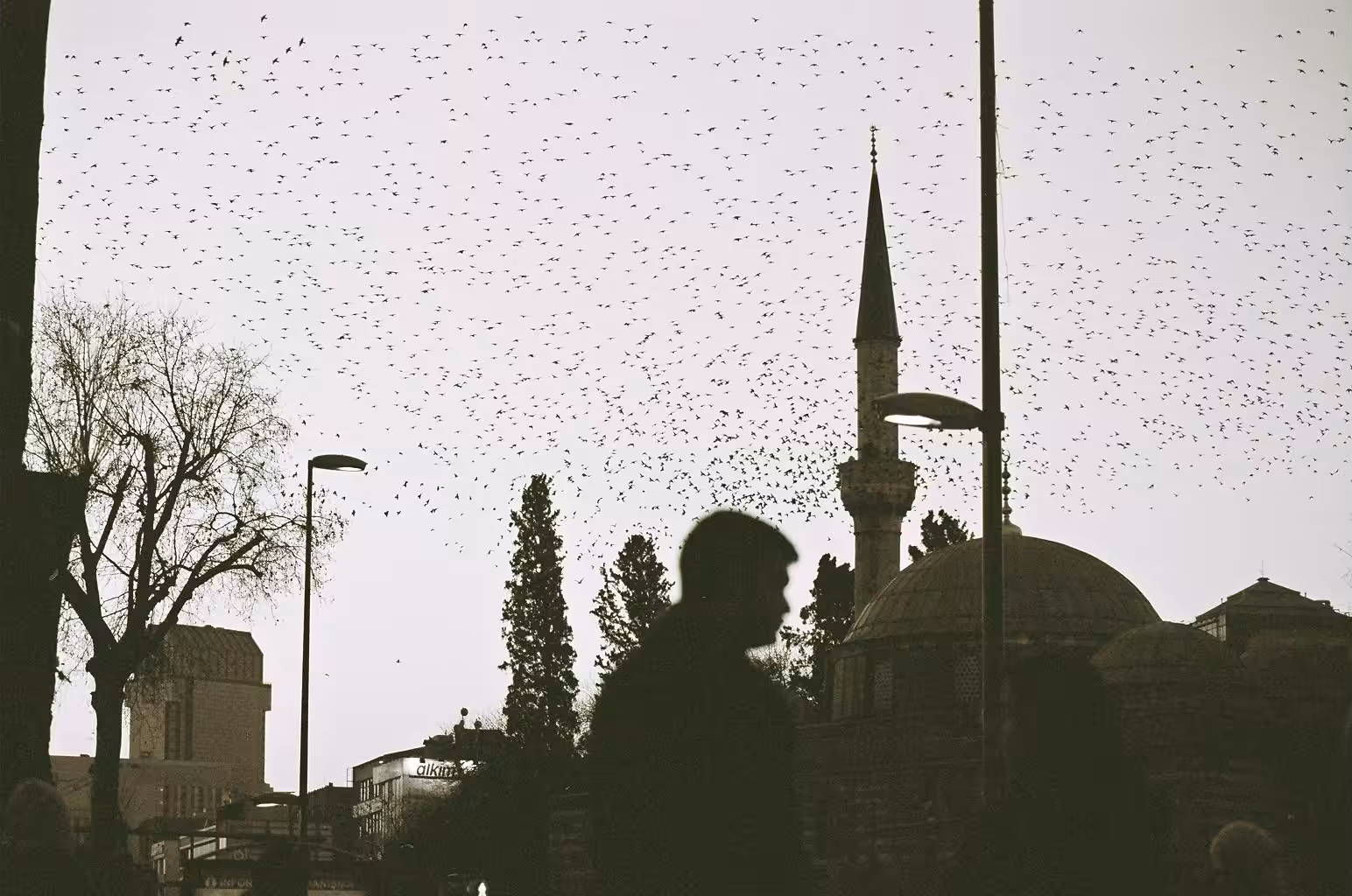 Where's My Mind?
